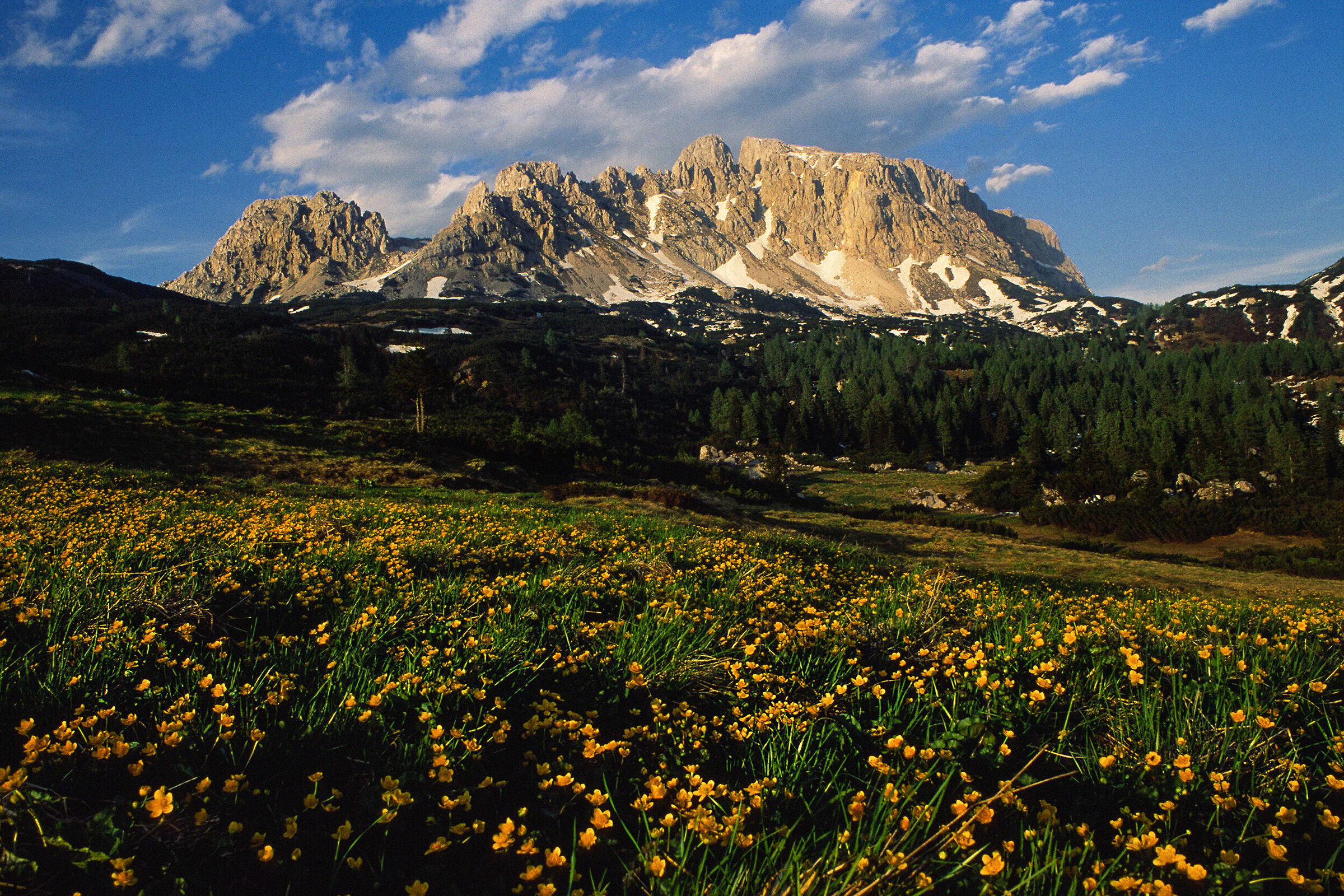 Creta di Aip - Alpi Carniche Orientali