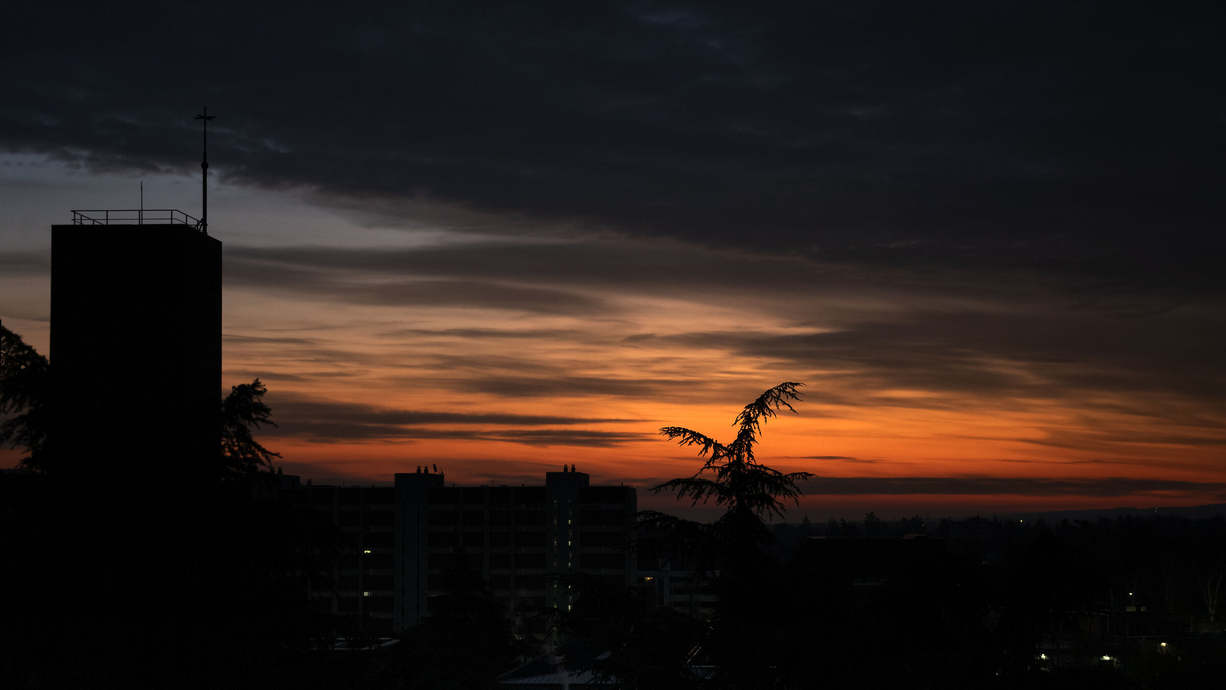 Bologna, Dicembre 2024