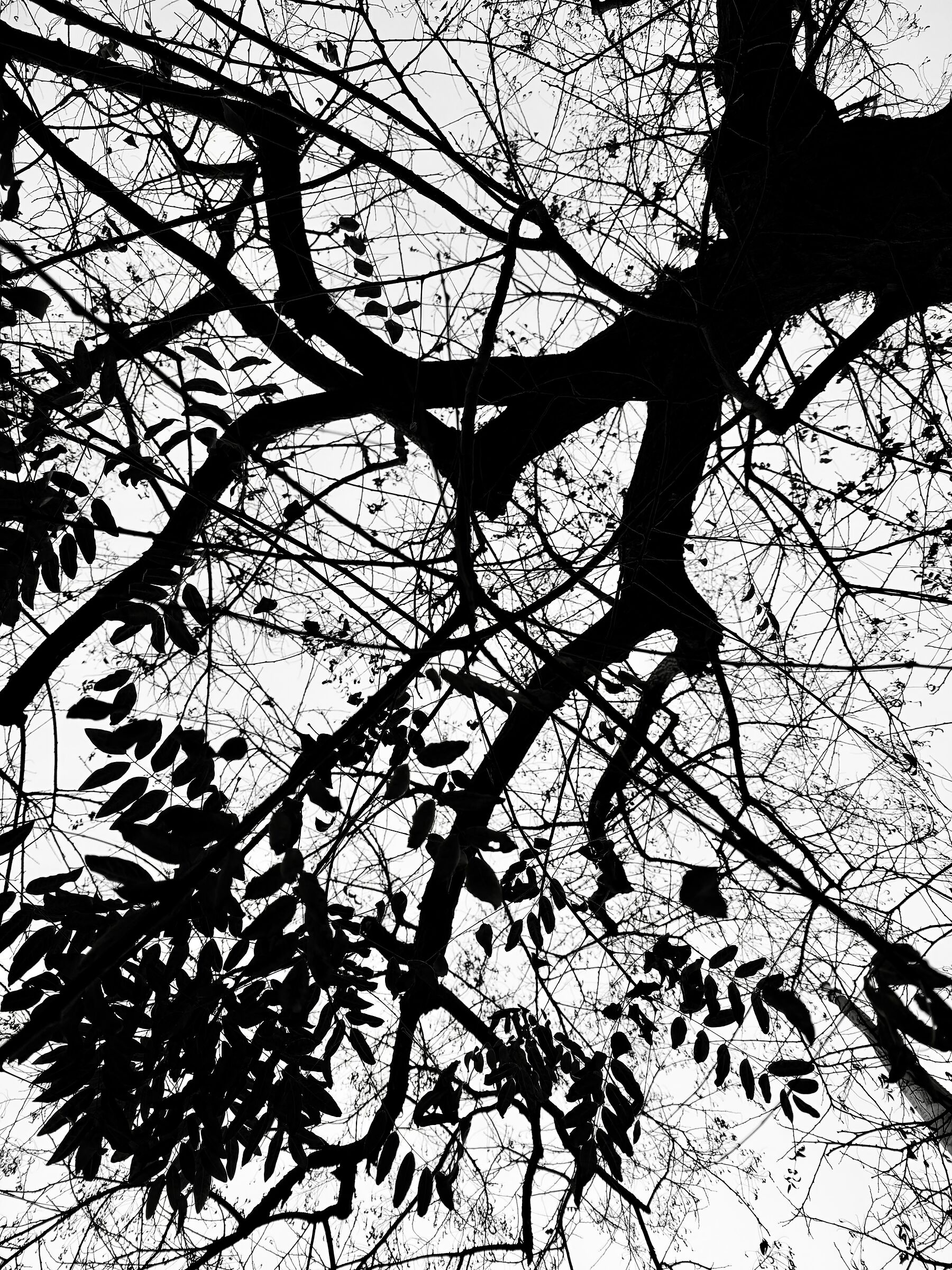 Inlay of branches and leaves