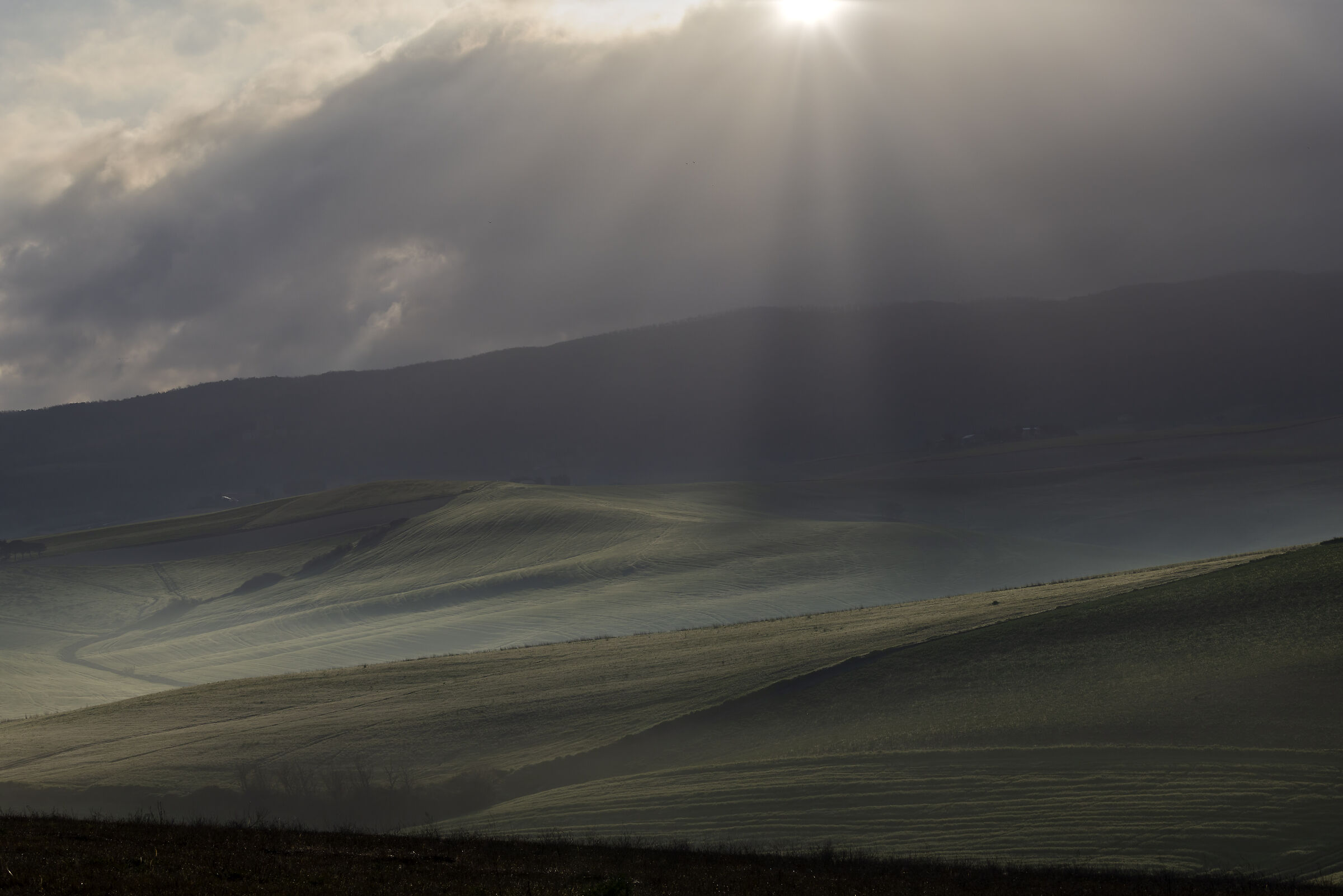 Light rays