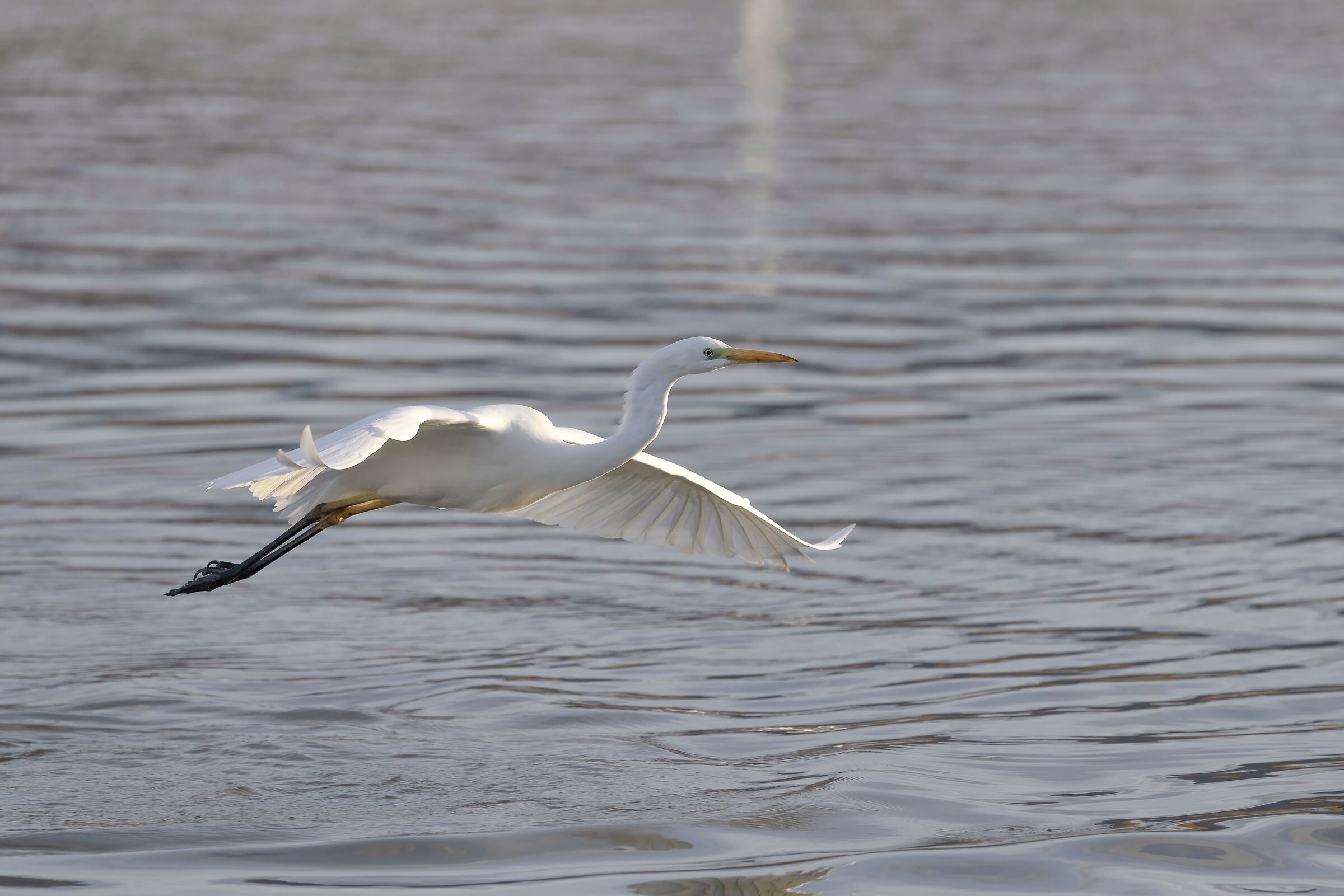 Glide