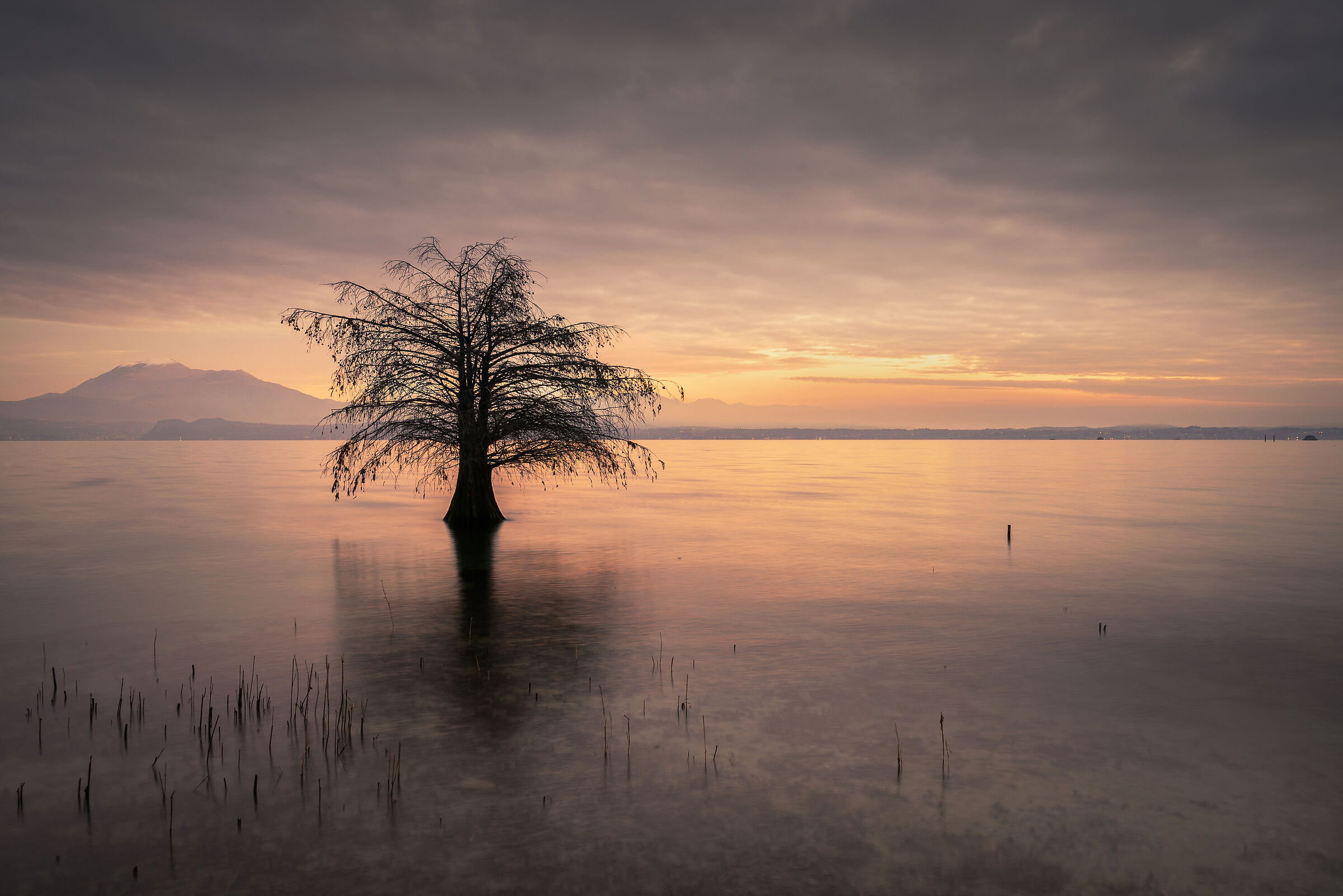 Il custode del lago