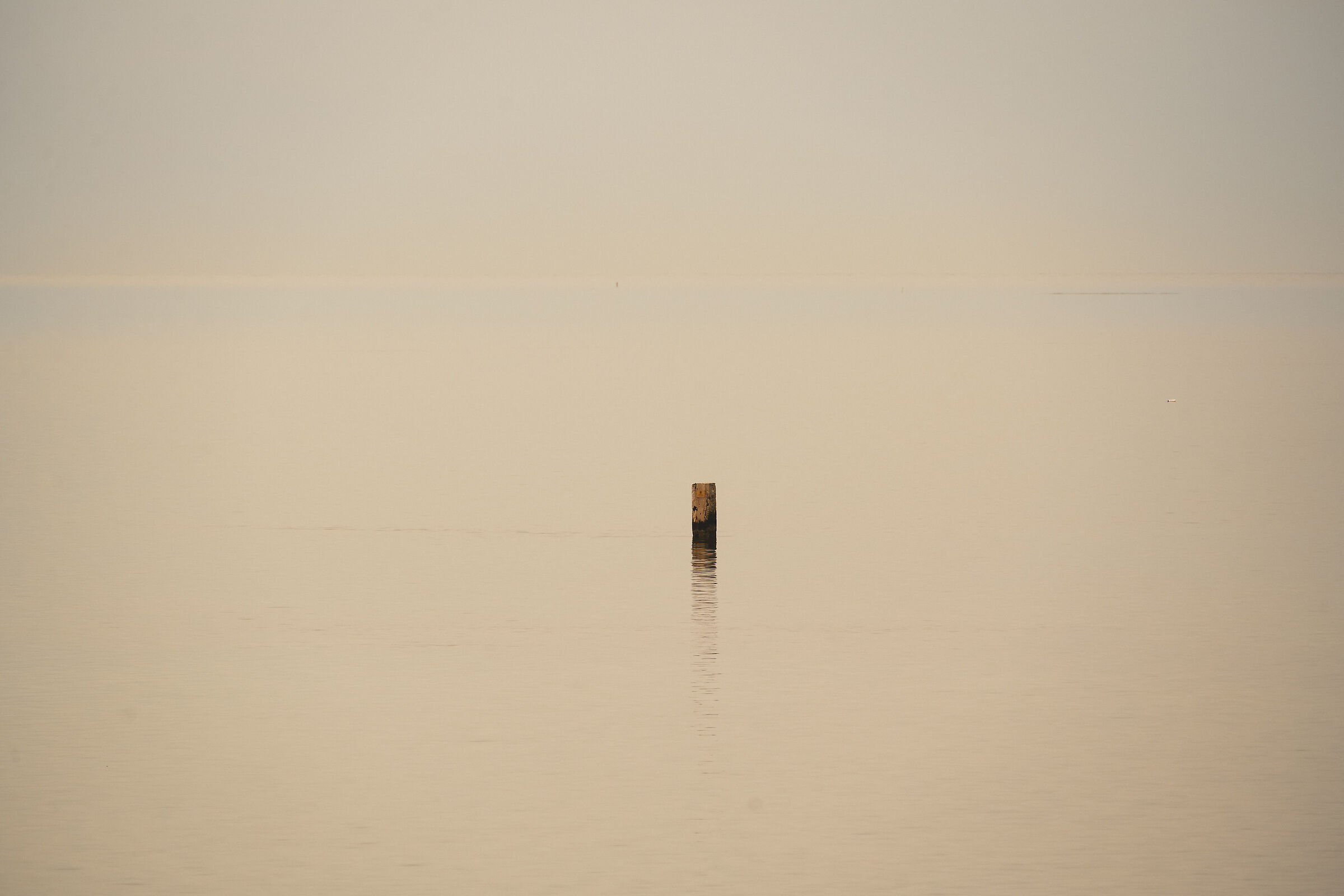 Minimalist