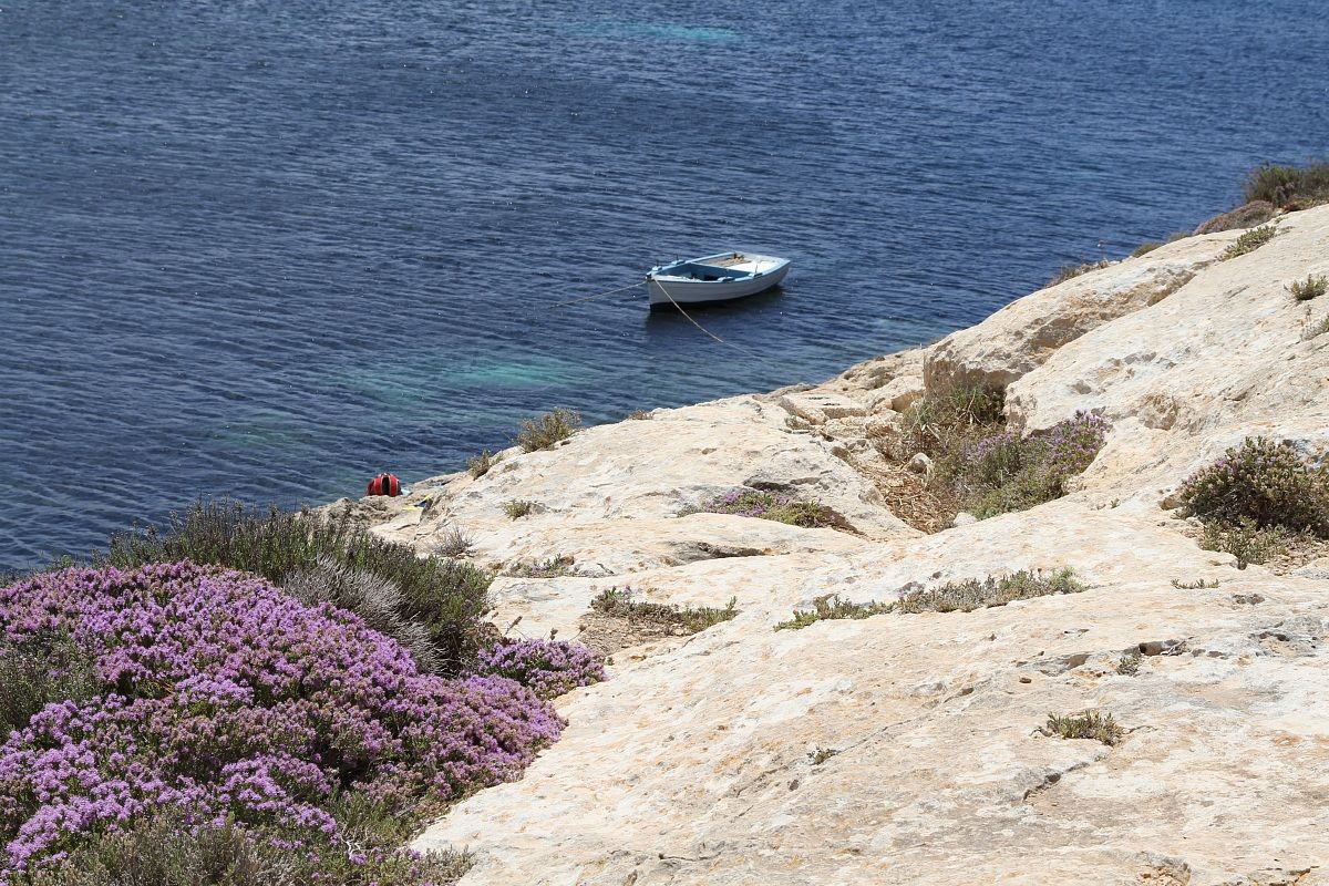 Lampedusa, Cala Madonna