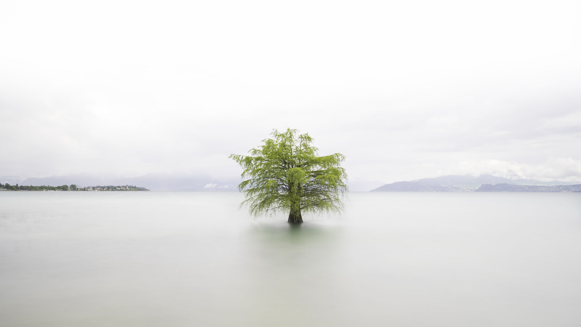 Resiliency