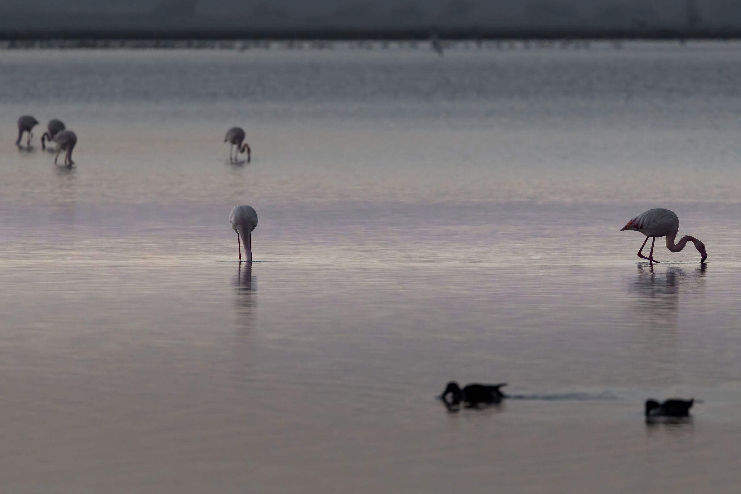 Quiet and undisturbed