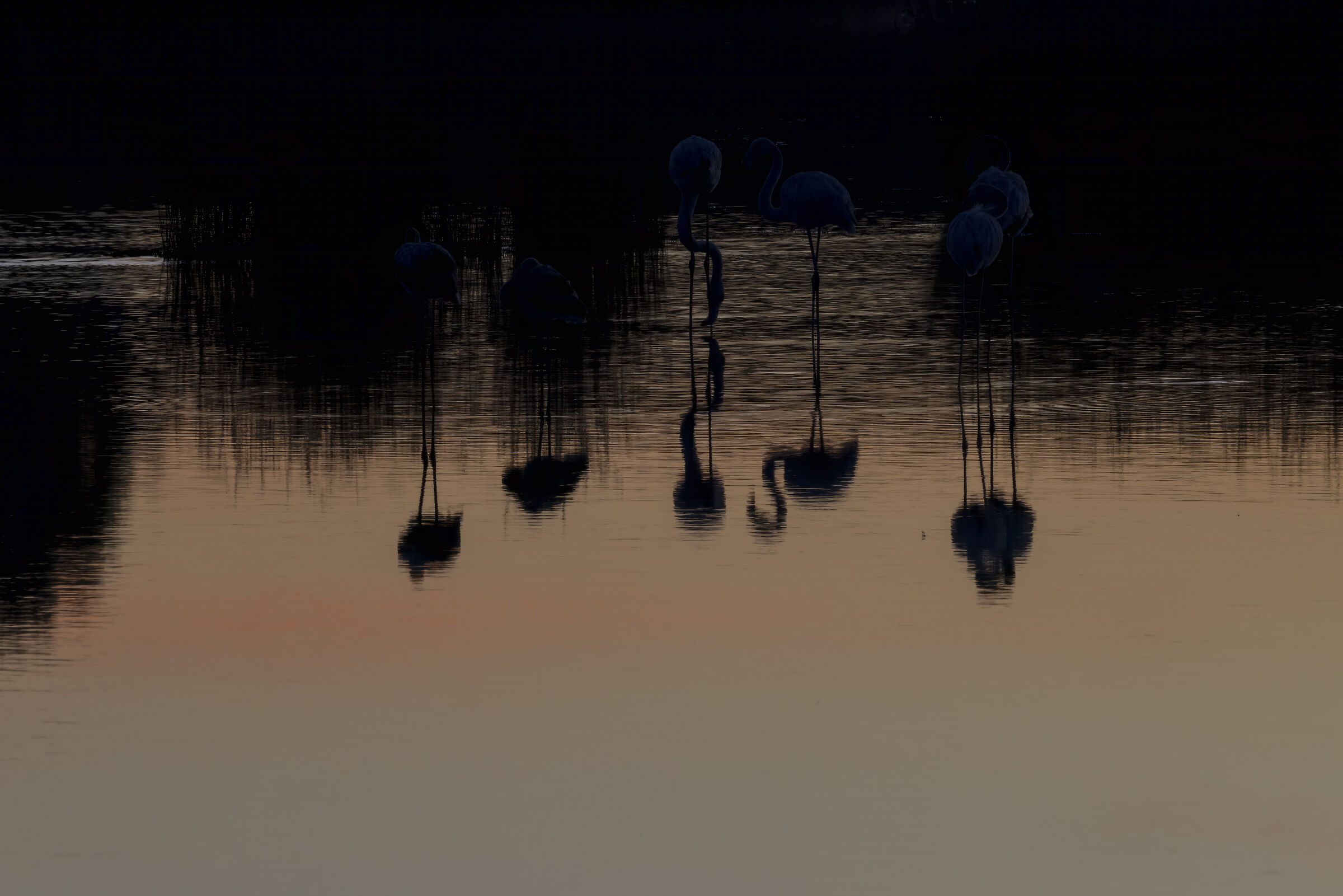 Reflections