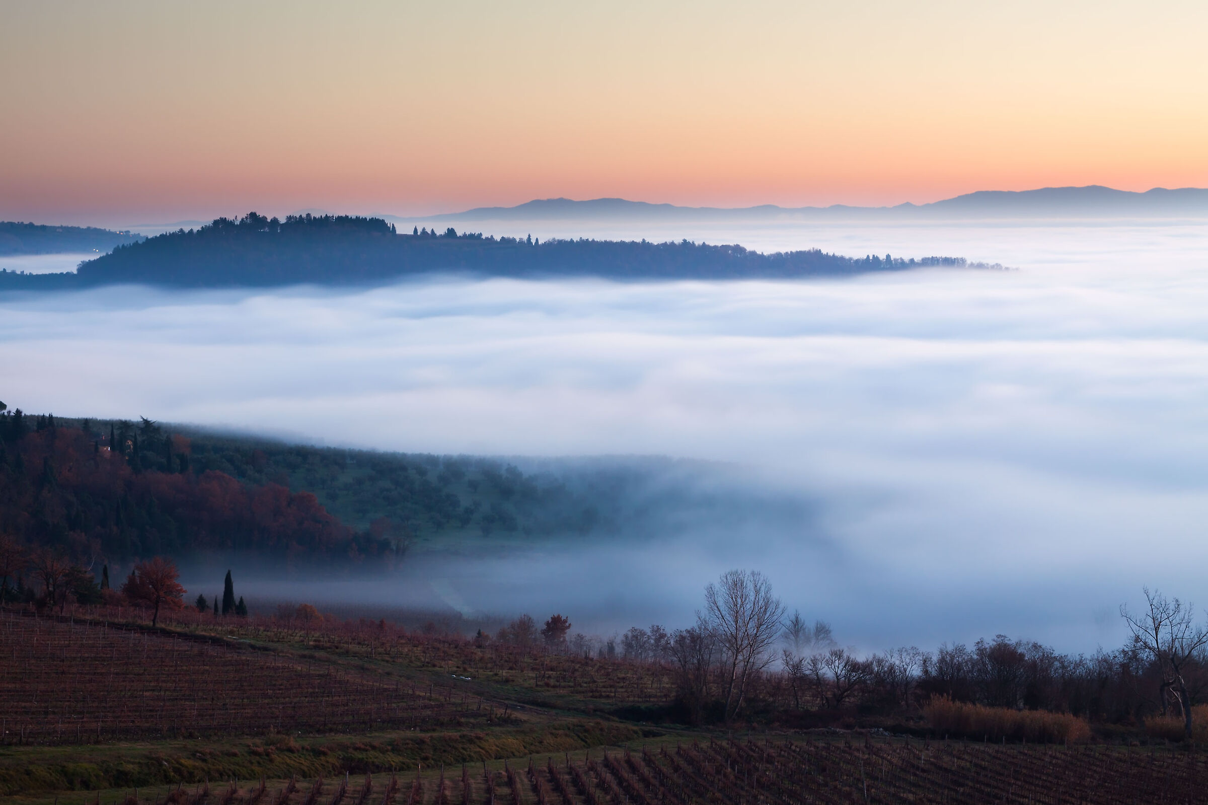 arriva la nebbia