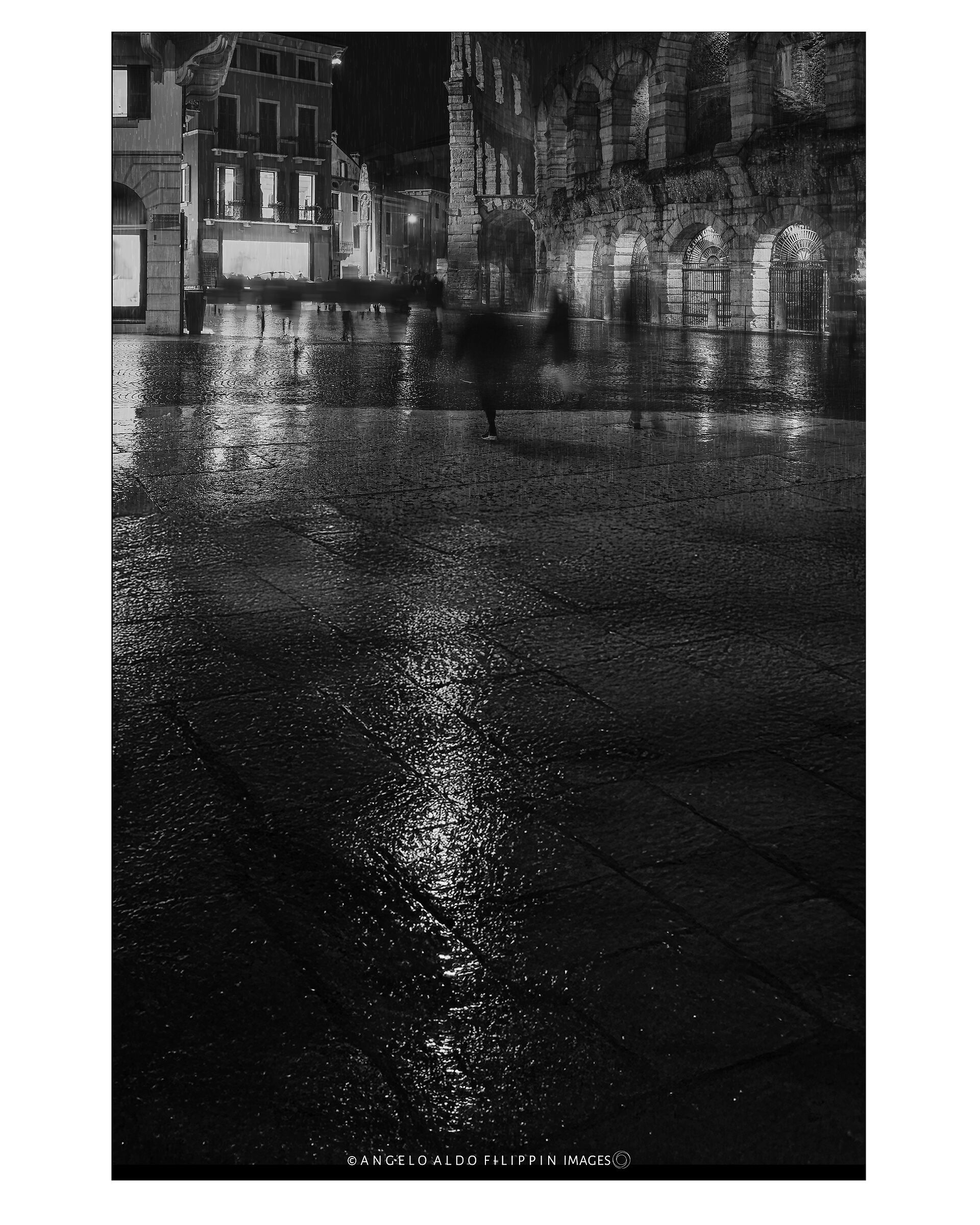 Verona 2009
