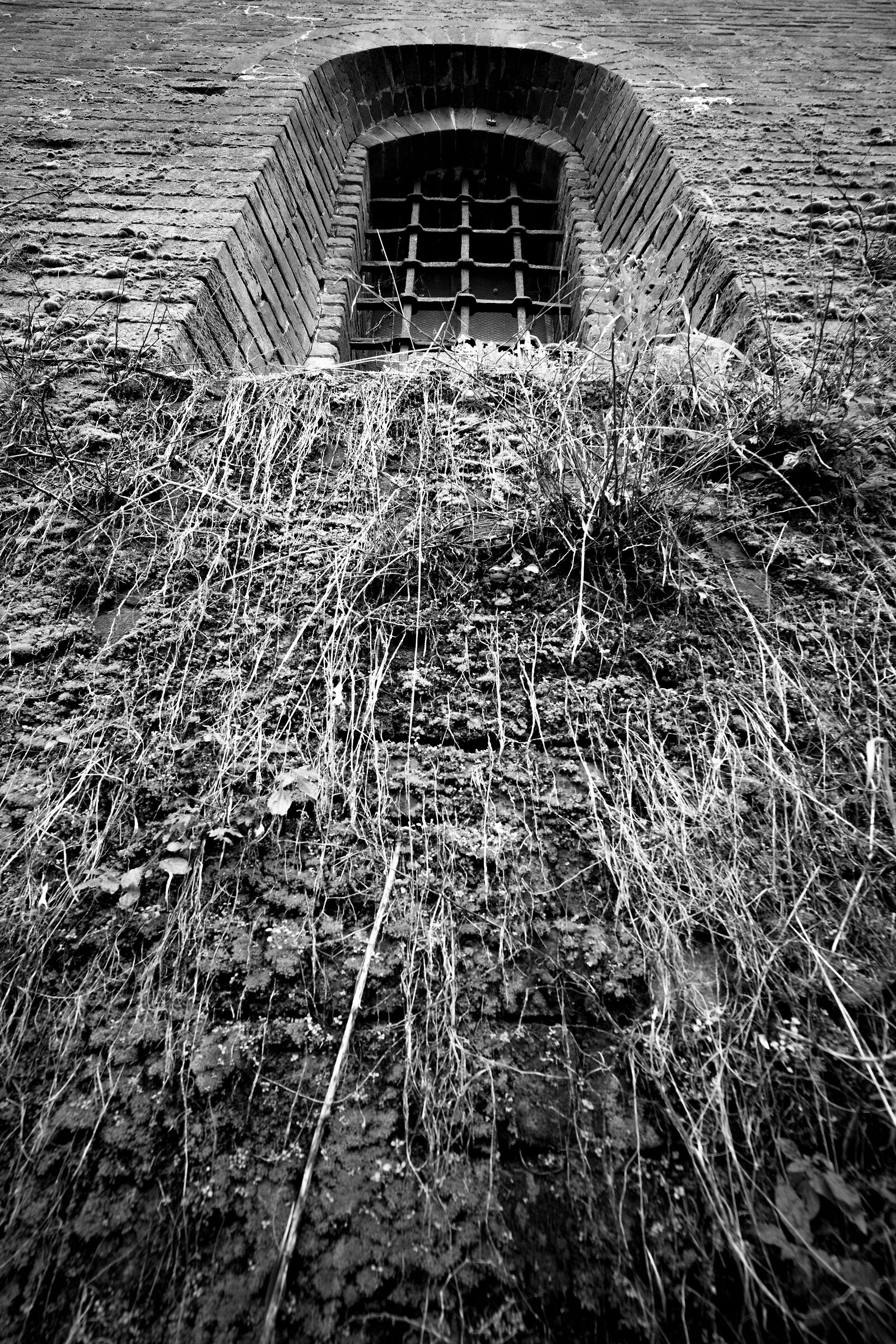 Nel fossato del Castello Visconteo