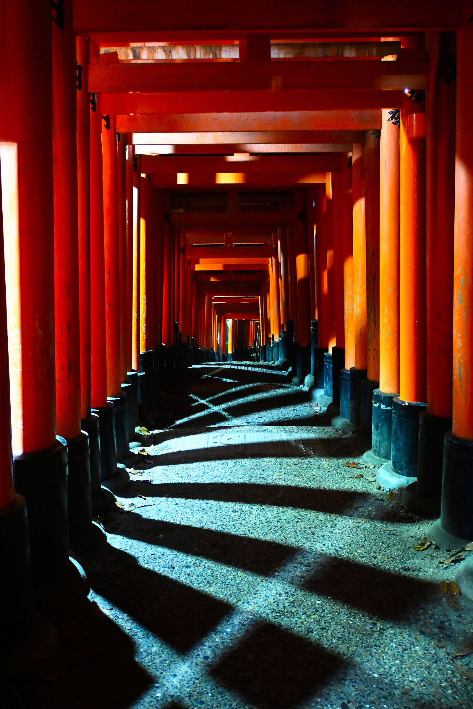 Luce (Santuario di Fushimi Inari-taisha (Kyoto)