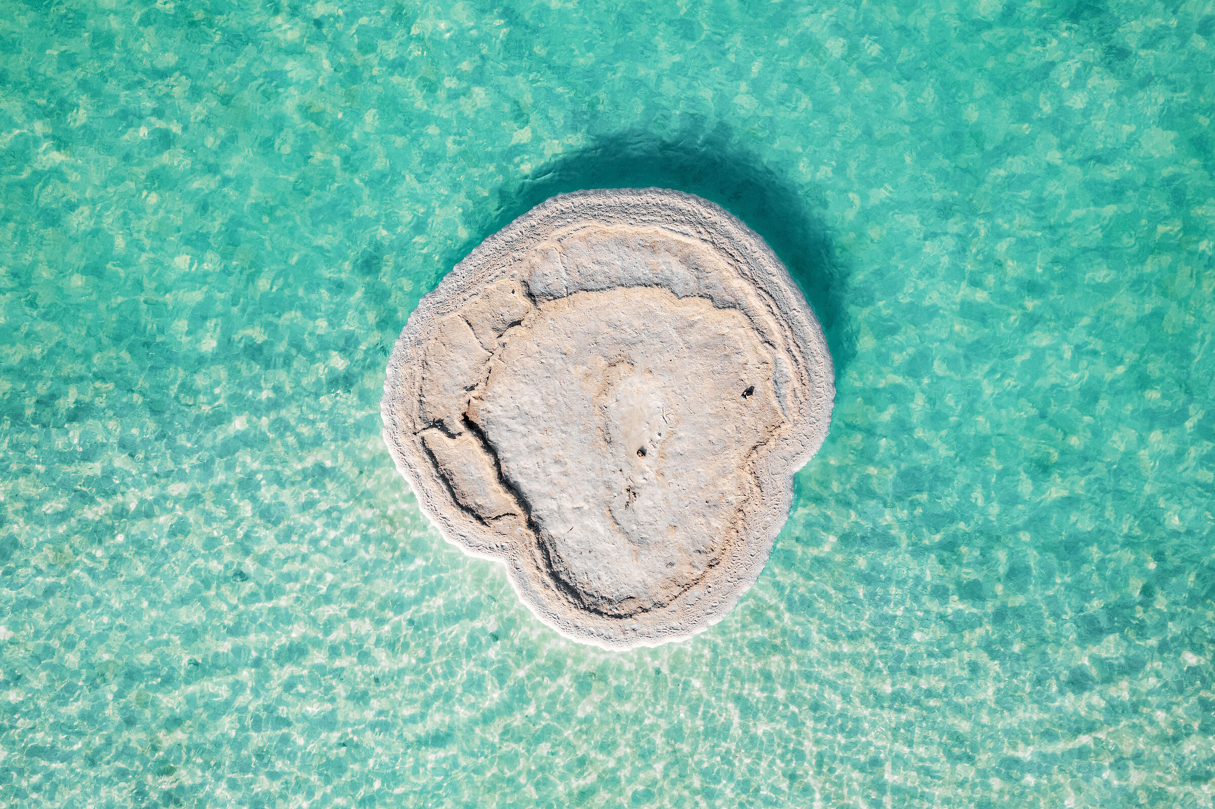 Dead Sea Mushrooms II