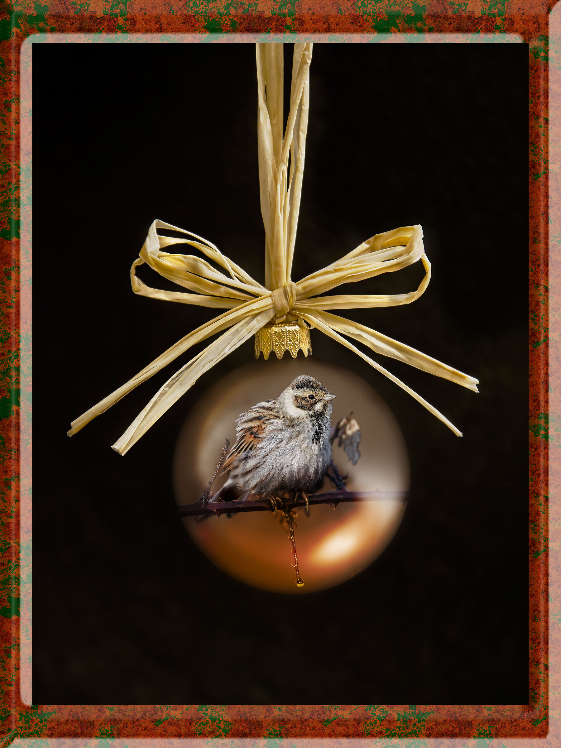 Buon Natale!