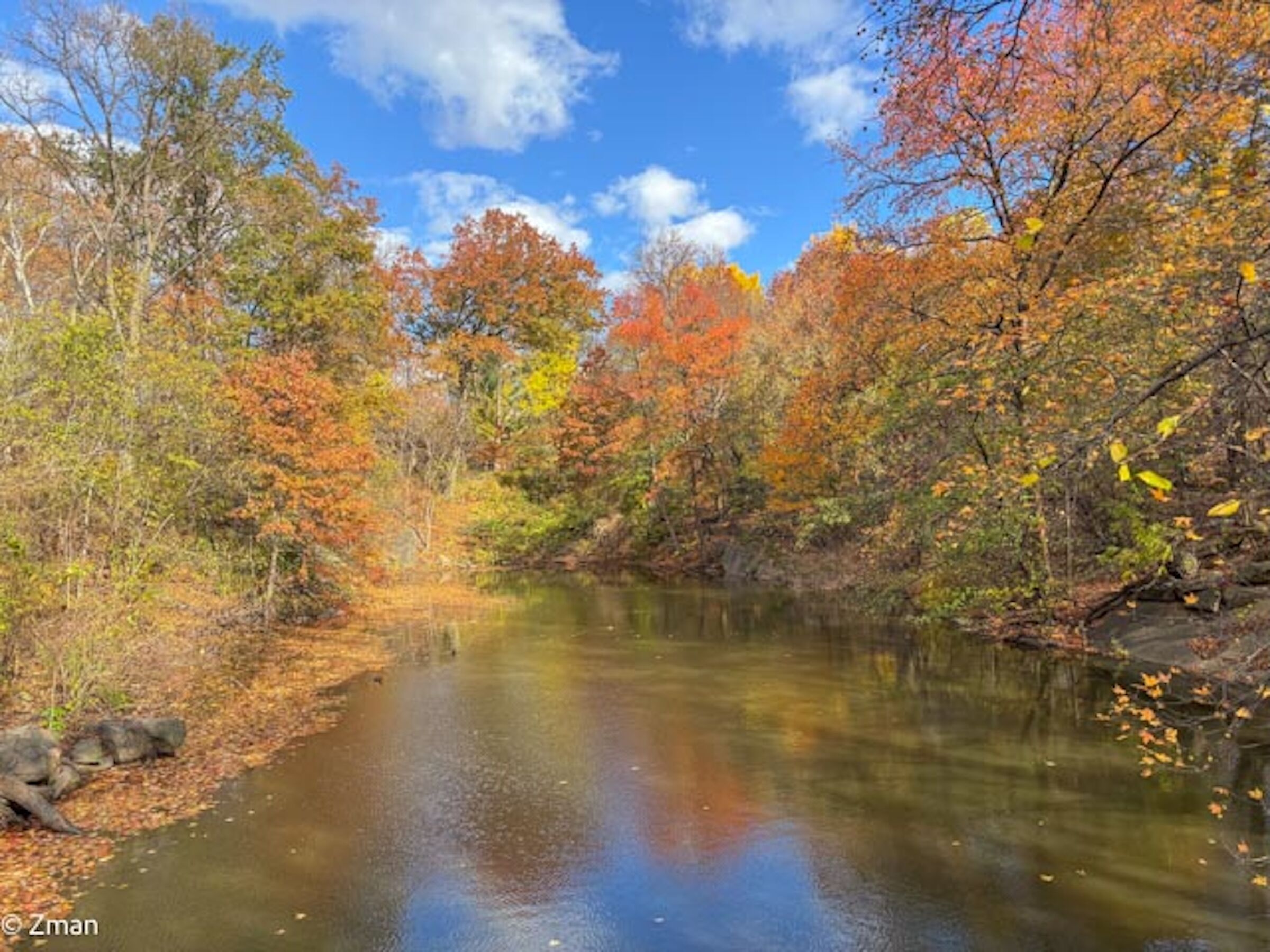 Central Park in autunno