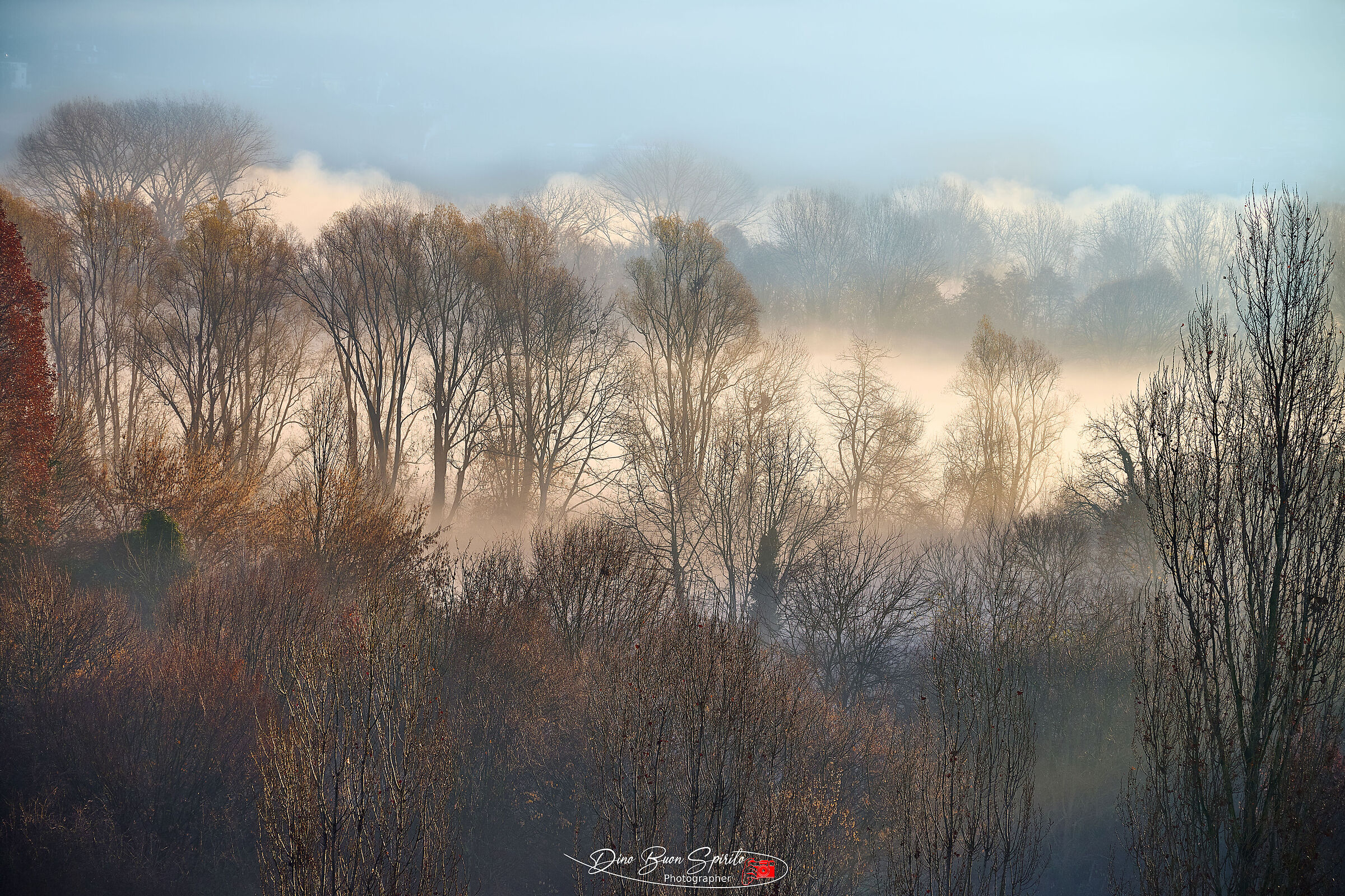 Mists