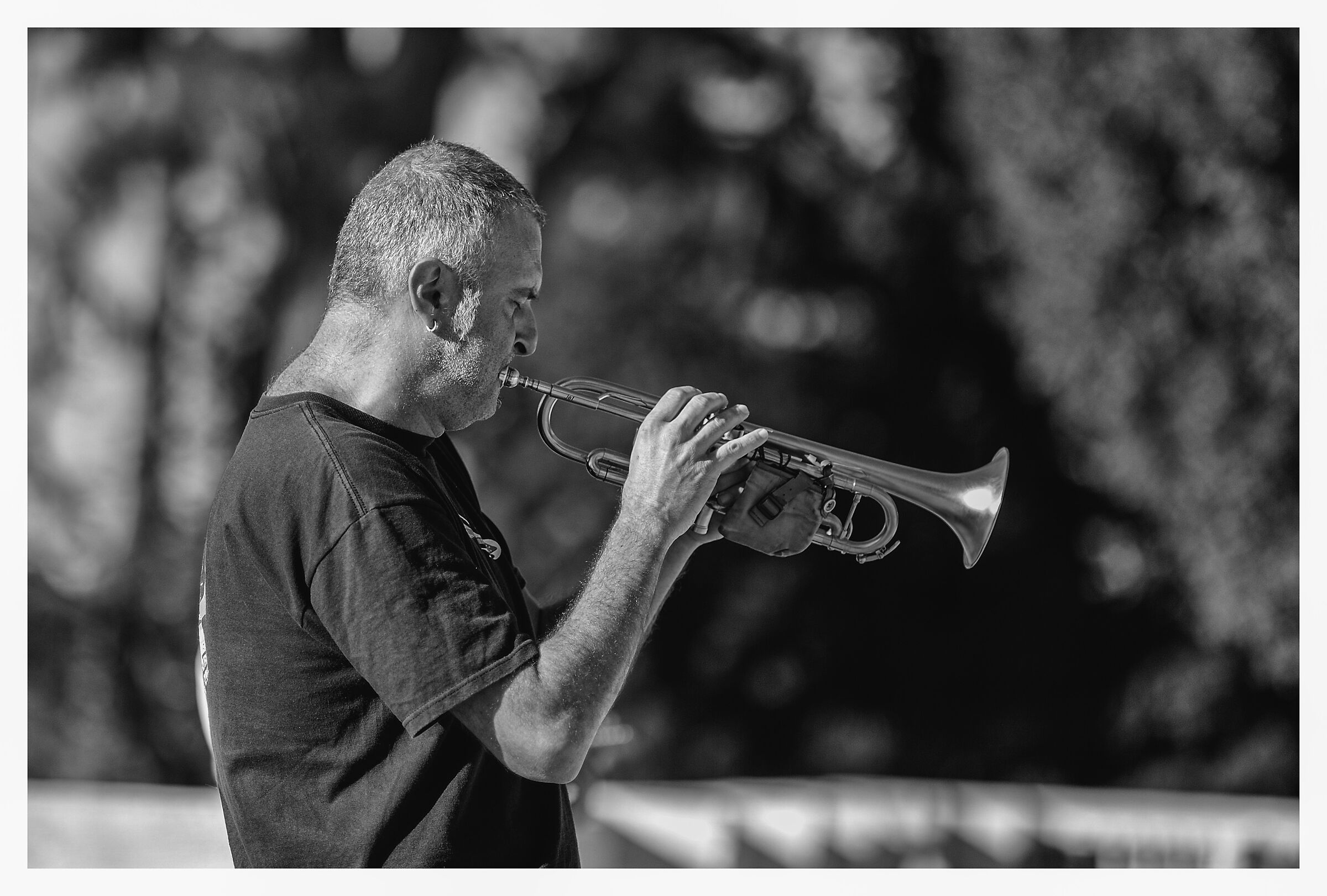 Rome-Trumpeter on the Pincio terrace.
