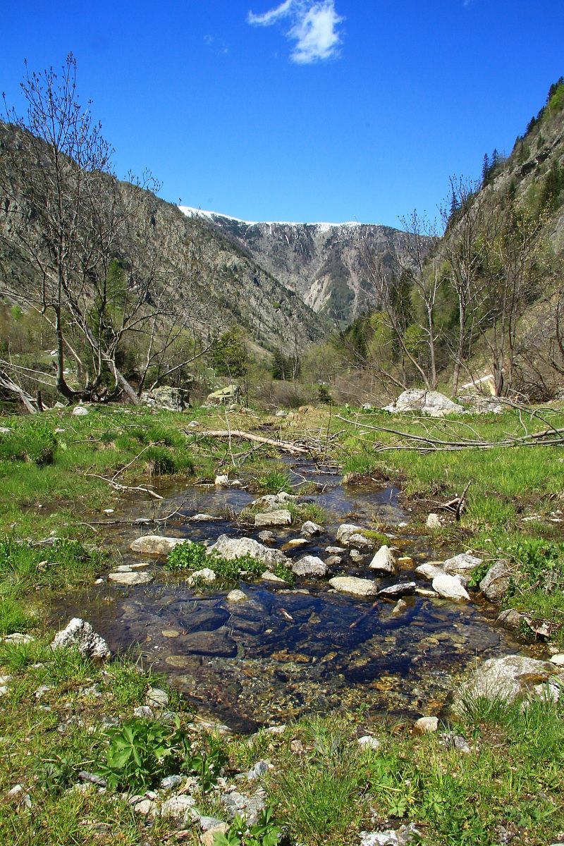 Bagni di Vinadio - Callieri
