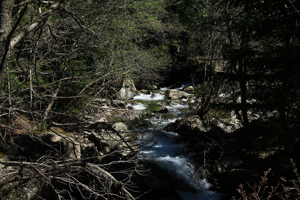 Bagni di Vinadio - Callieri 2