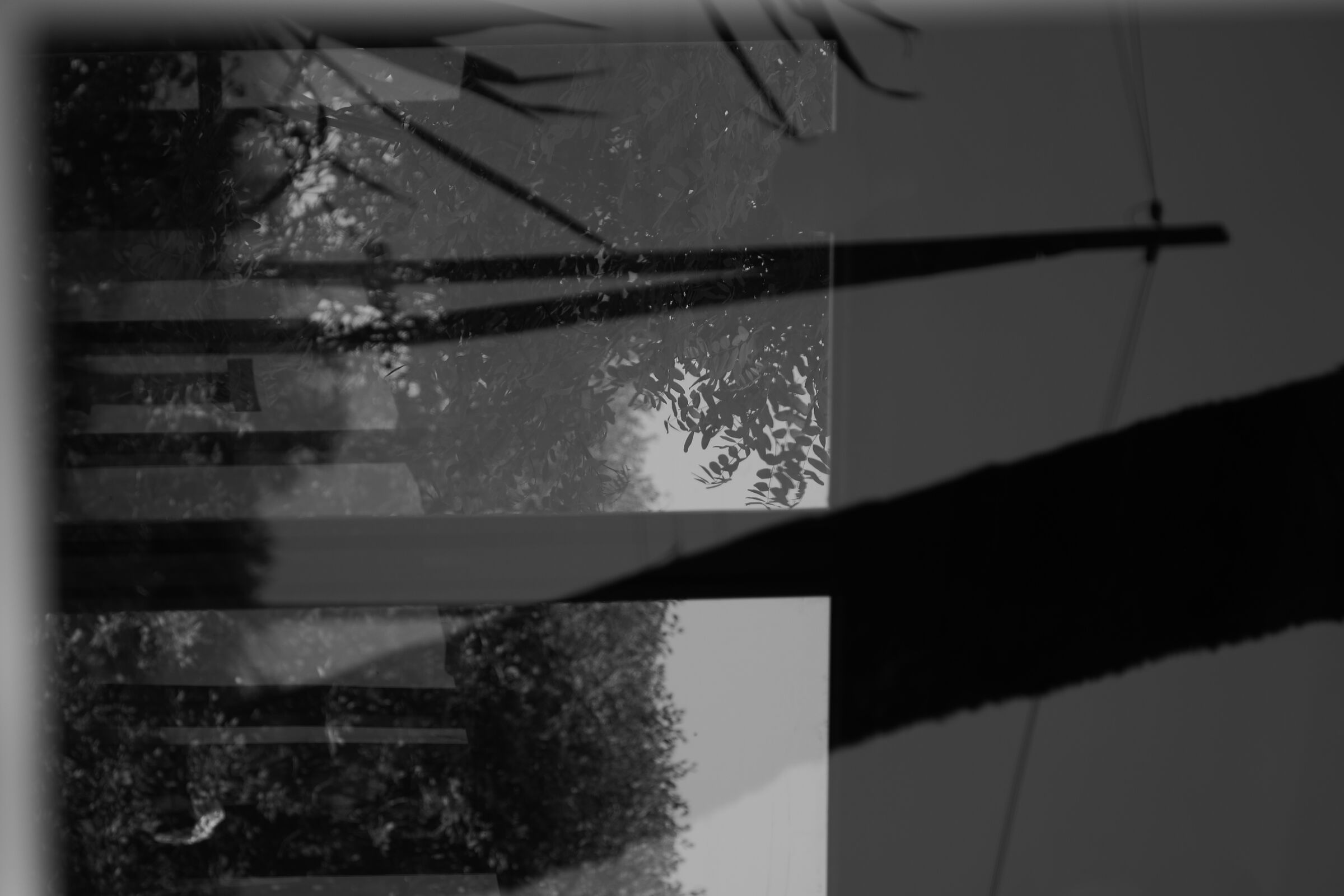 Untitled Photo