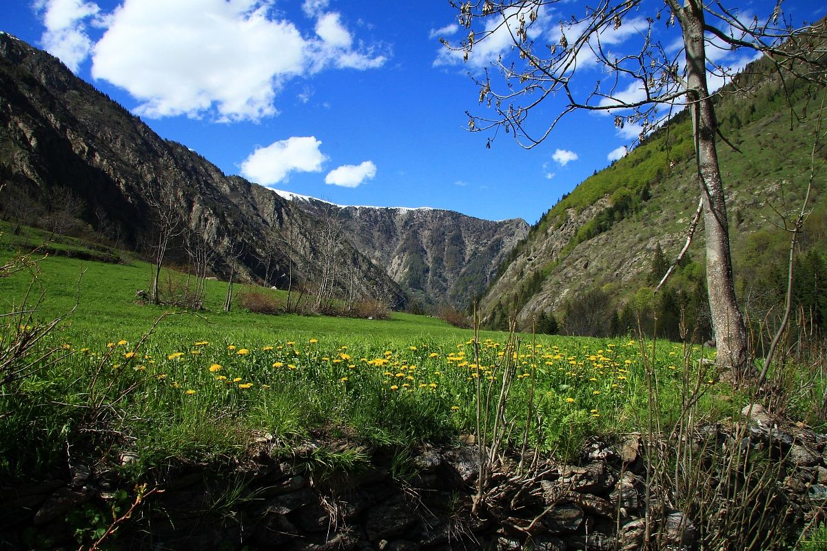 Bagni di Vinadio - Callieri 8