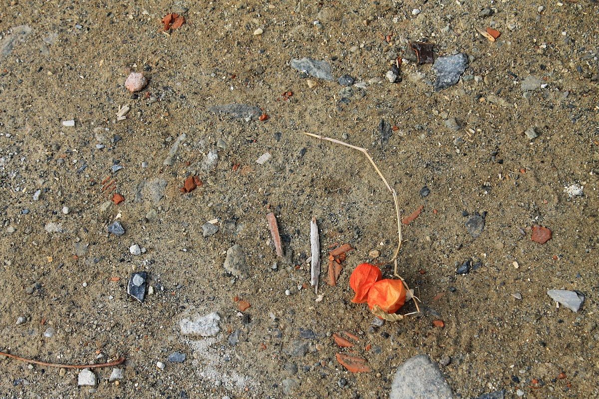 Inverno, aspettando la neve 2