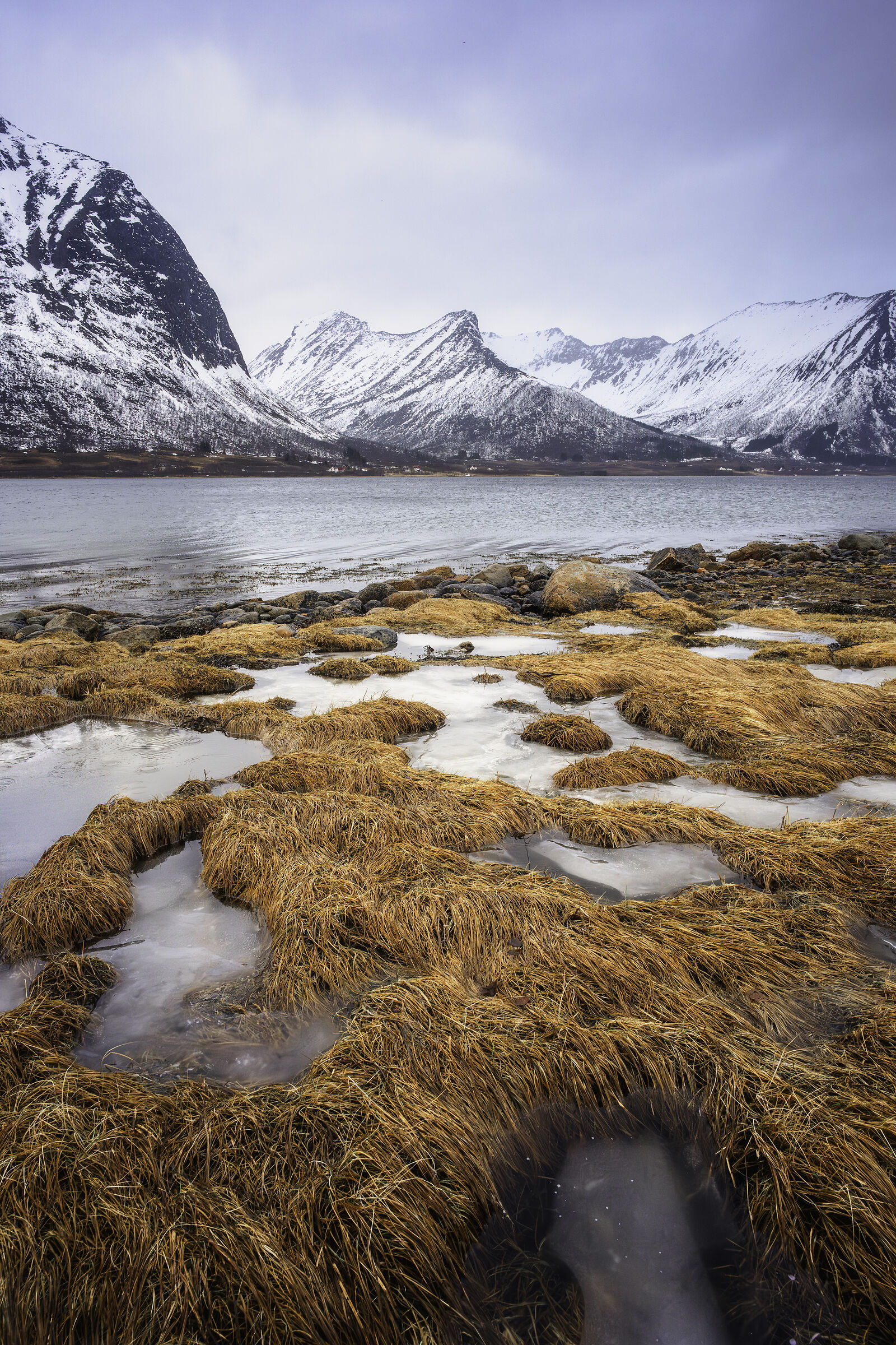 Lofoten4