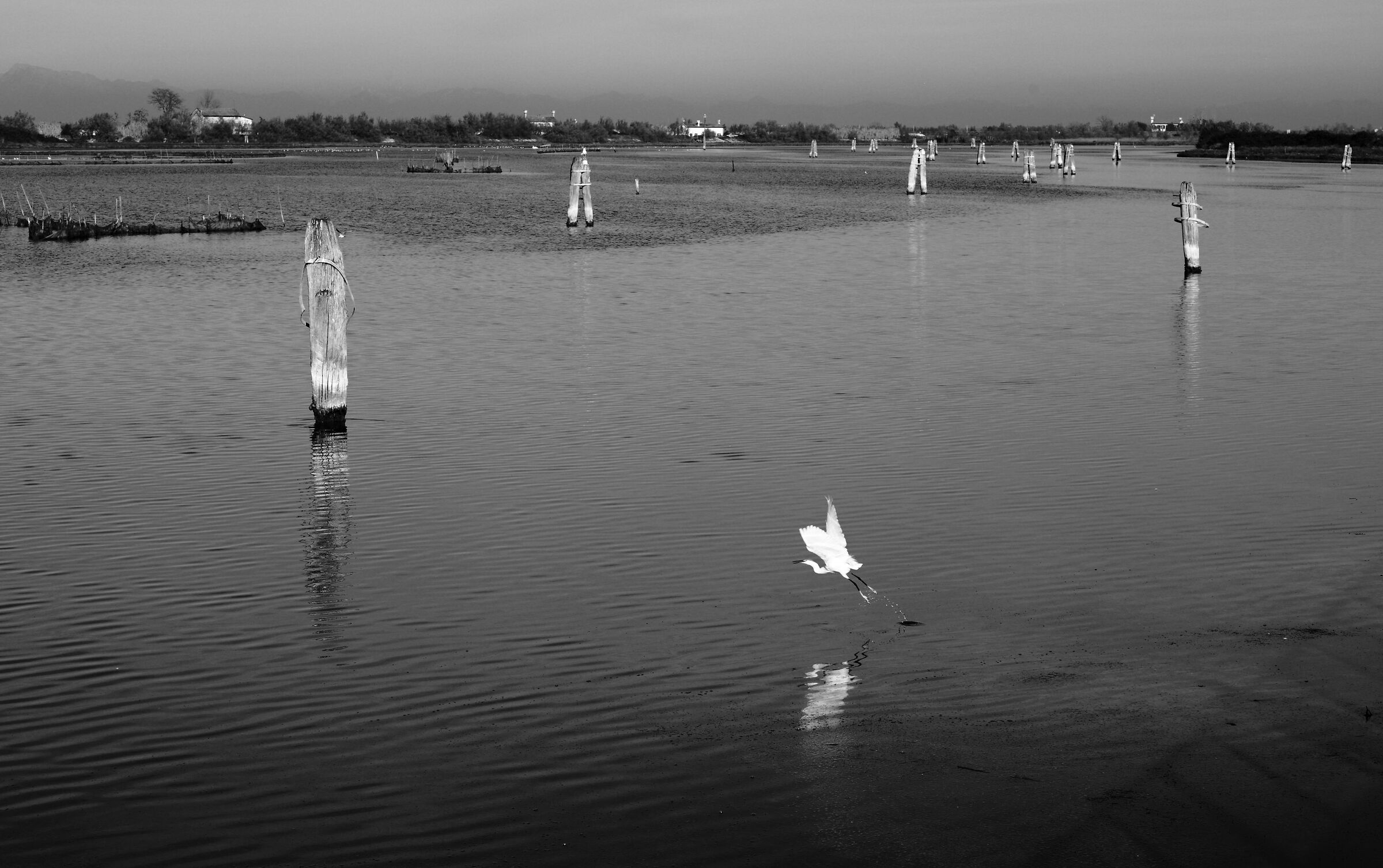 Laguna veneta (4)