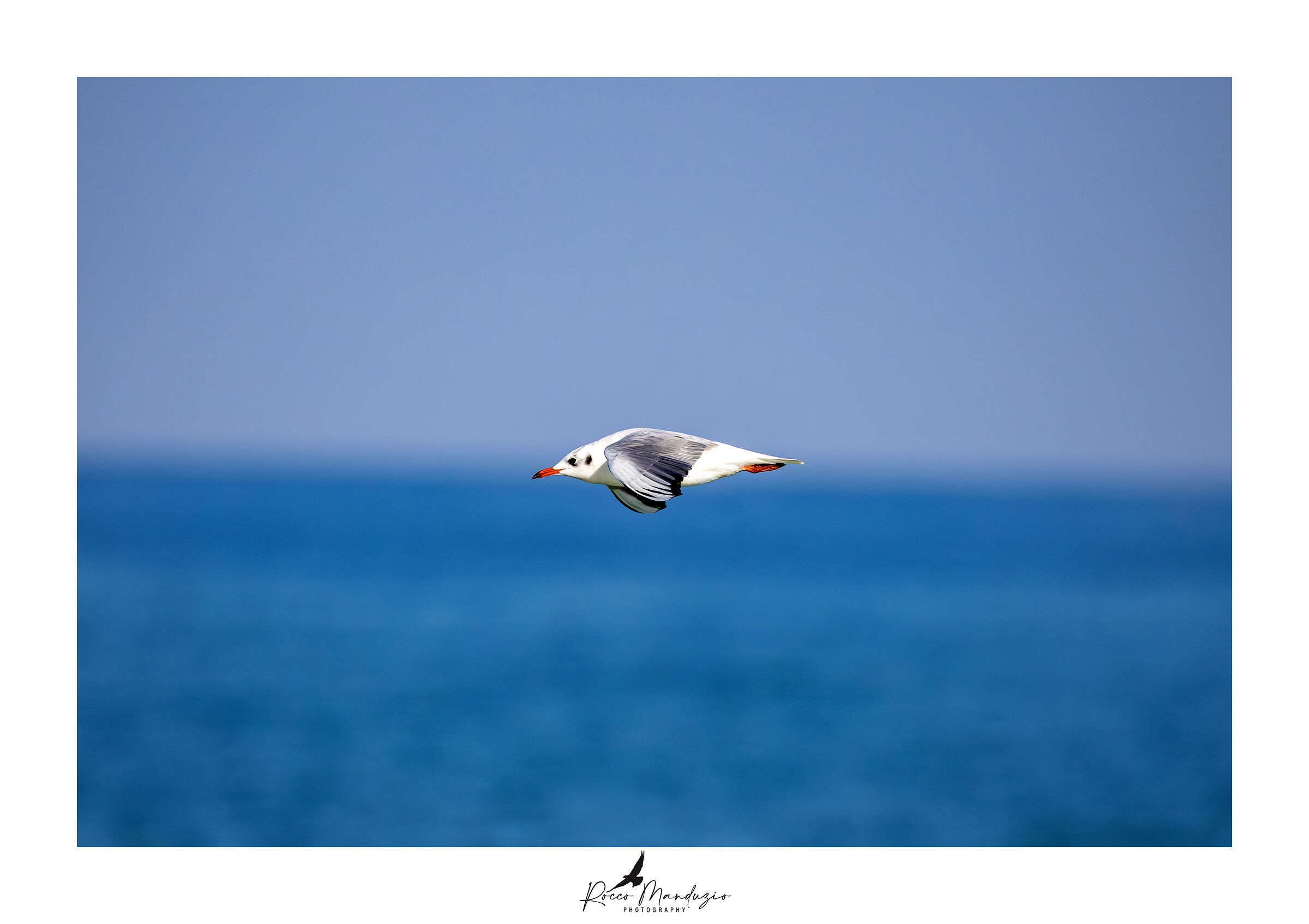 In perfect alignment