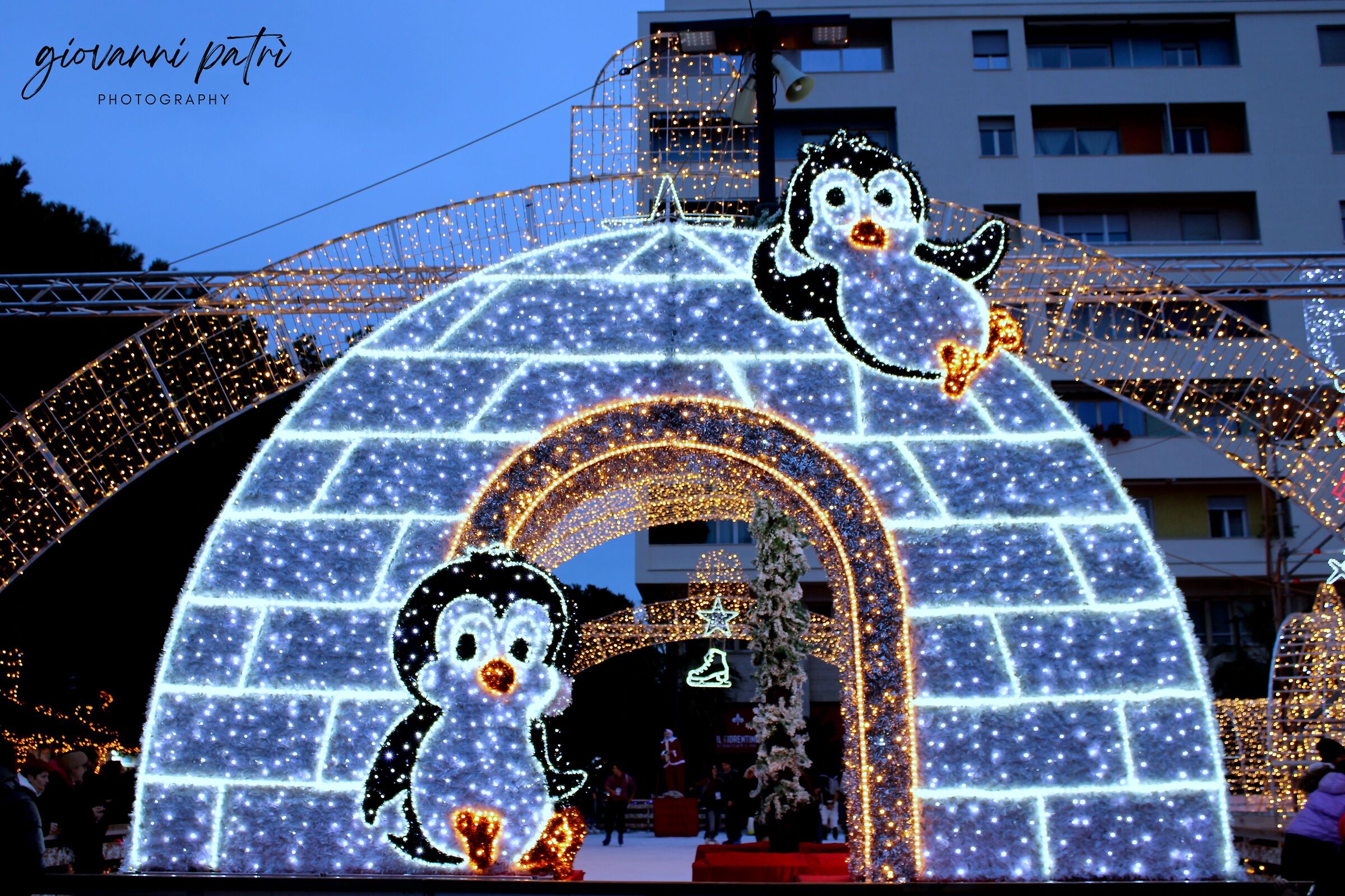 Glowing Penguins