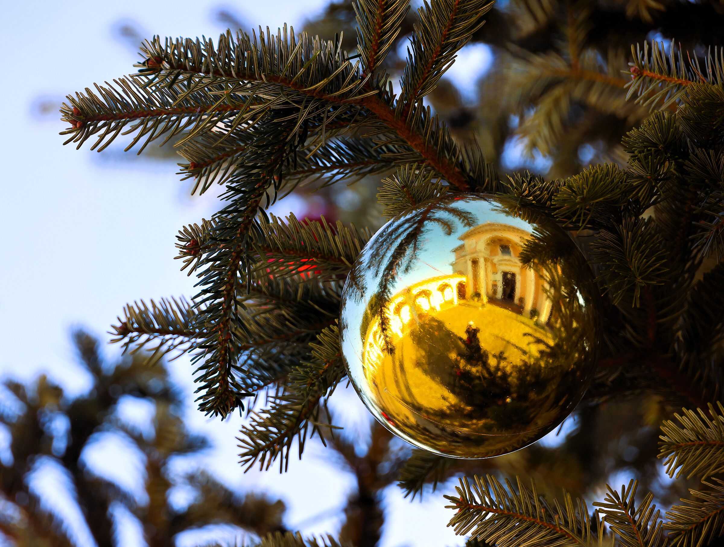 buon natale