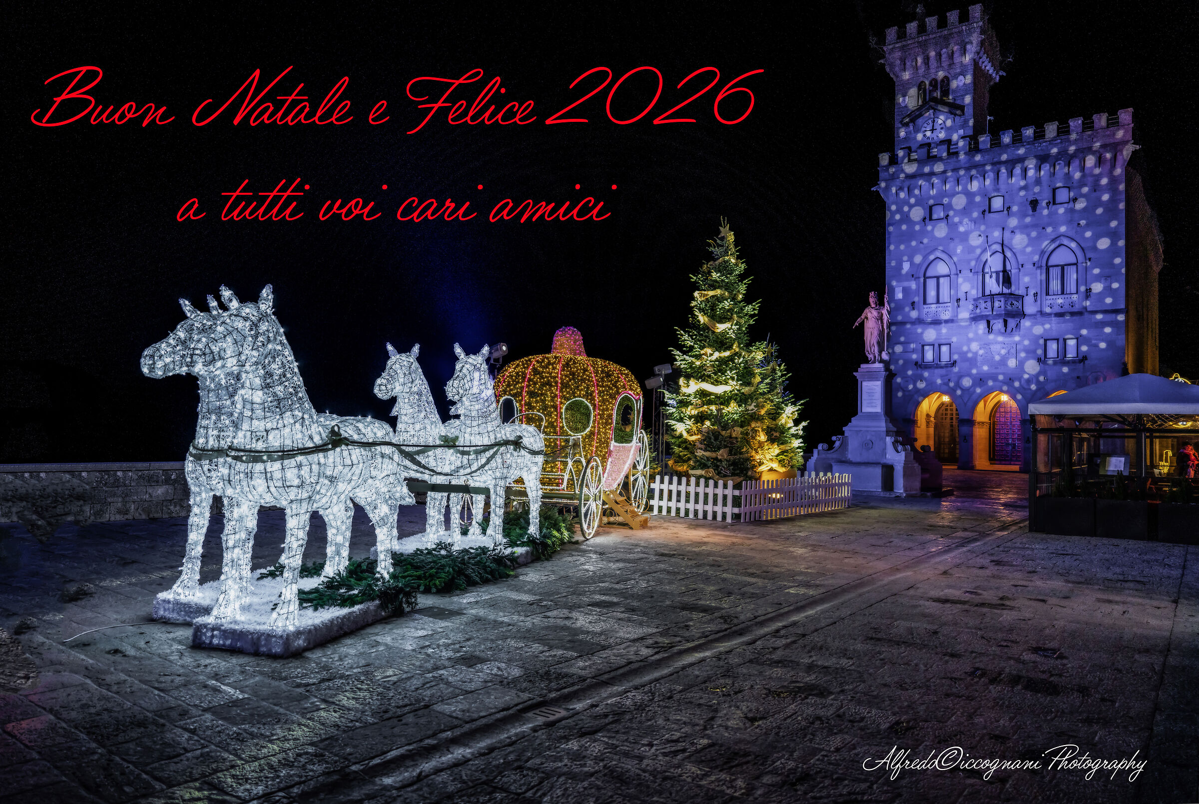 Merry Christmas and Fern 2026