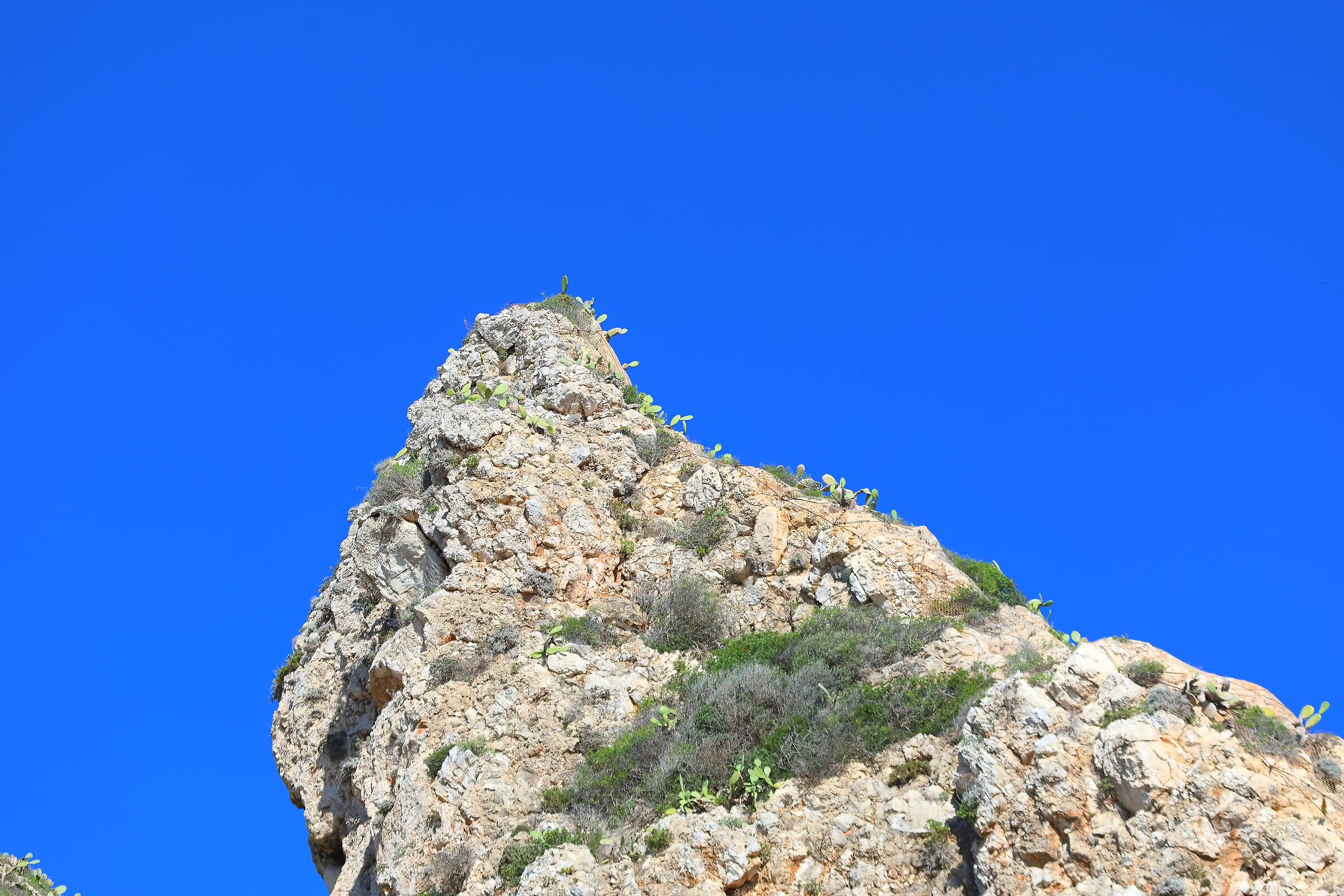 Punta 08 ottobre 2025 - 0572