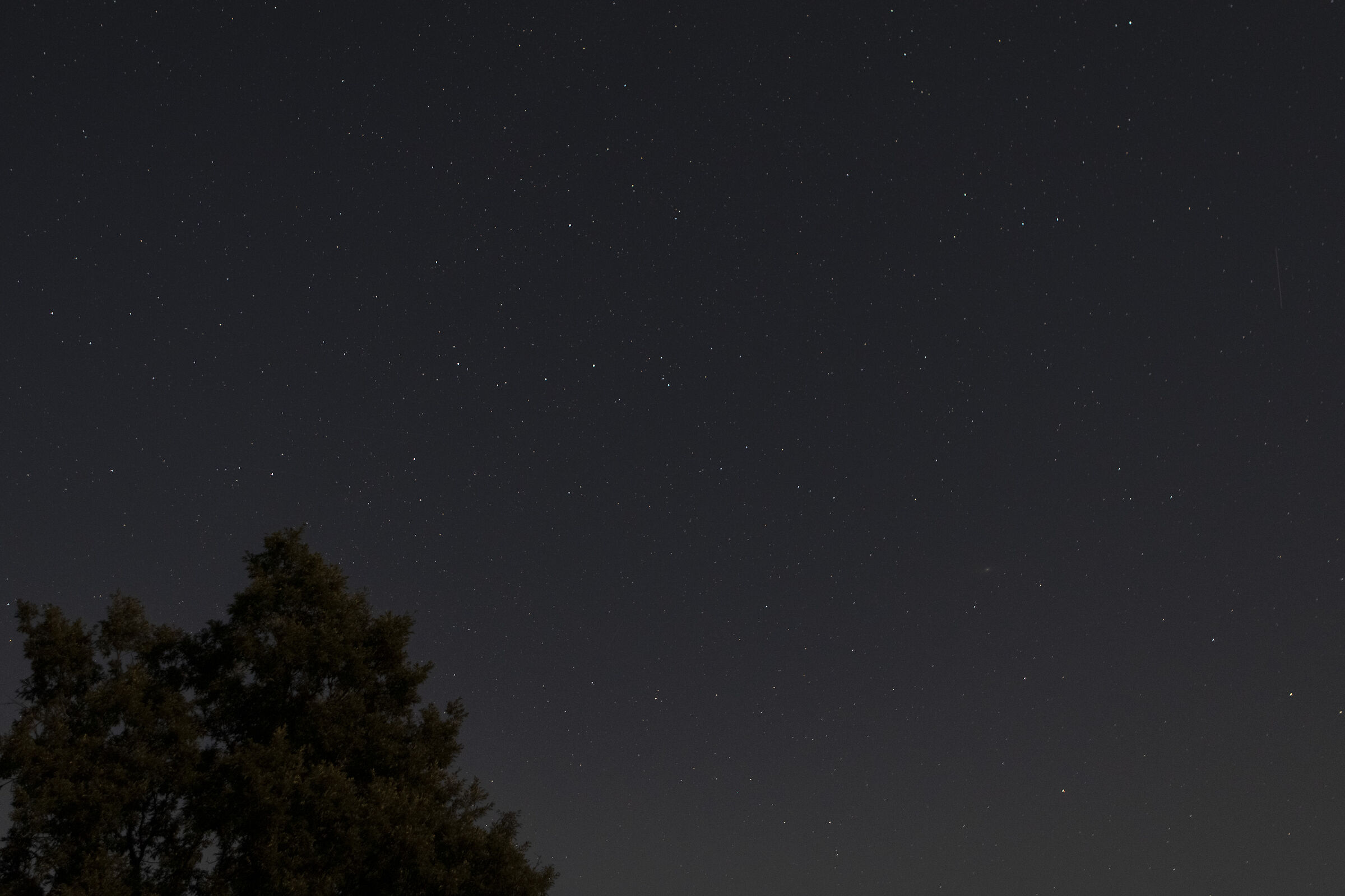 Starry Sky