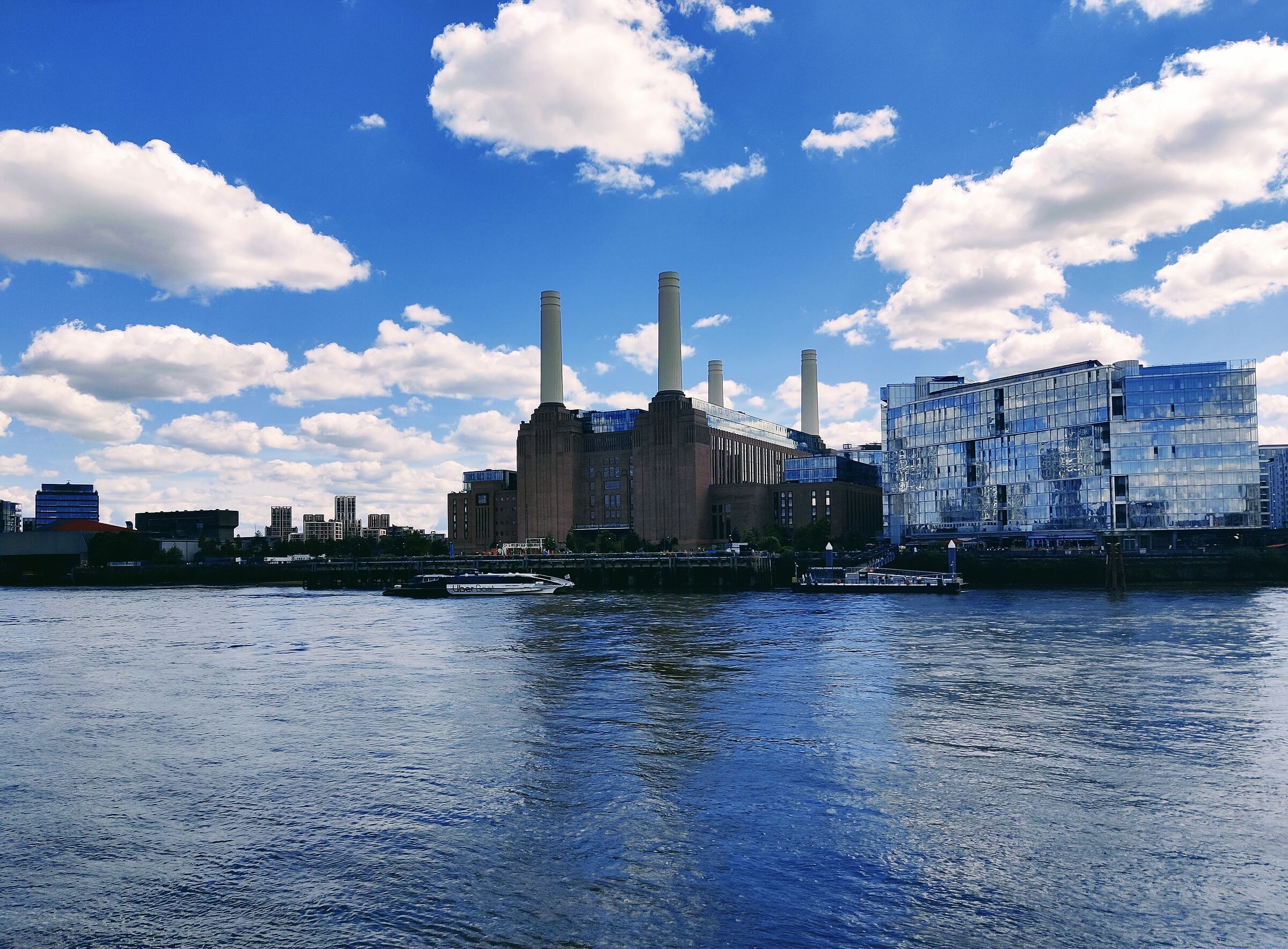 Maiali, cani, pecore…