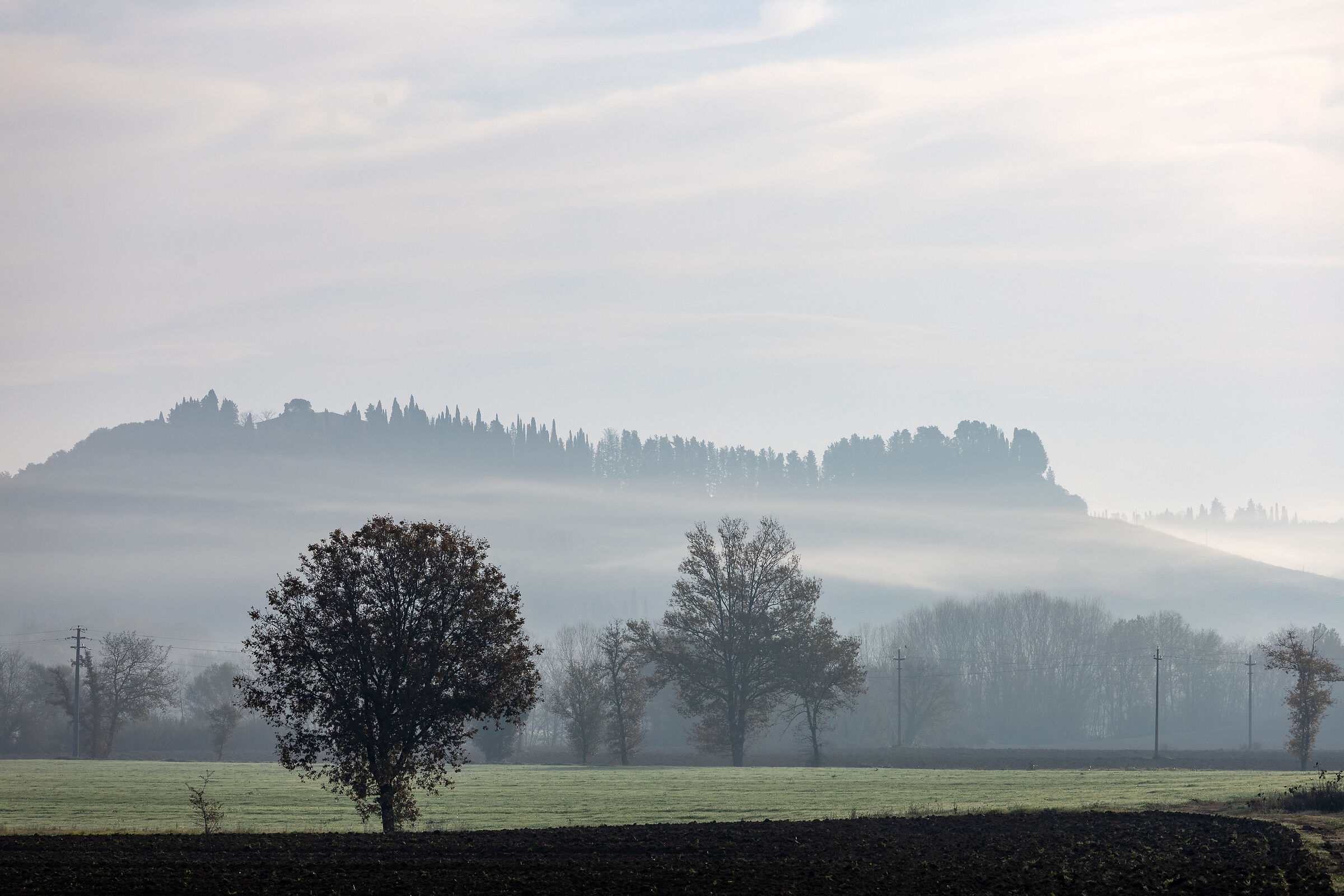 Crete Senesi