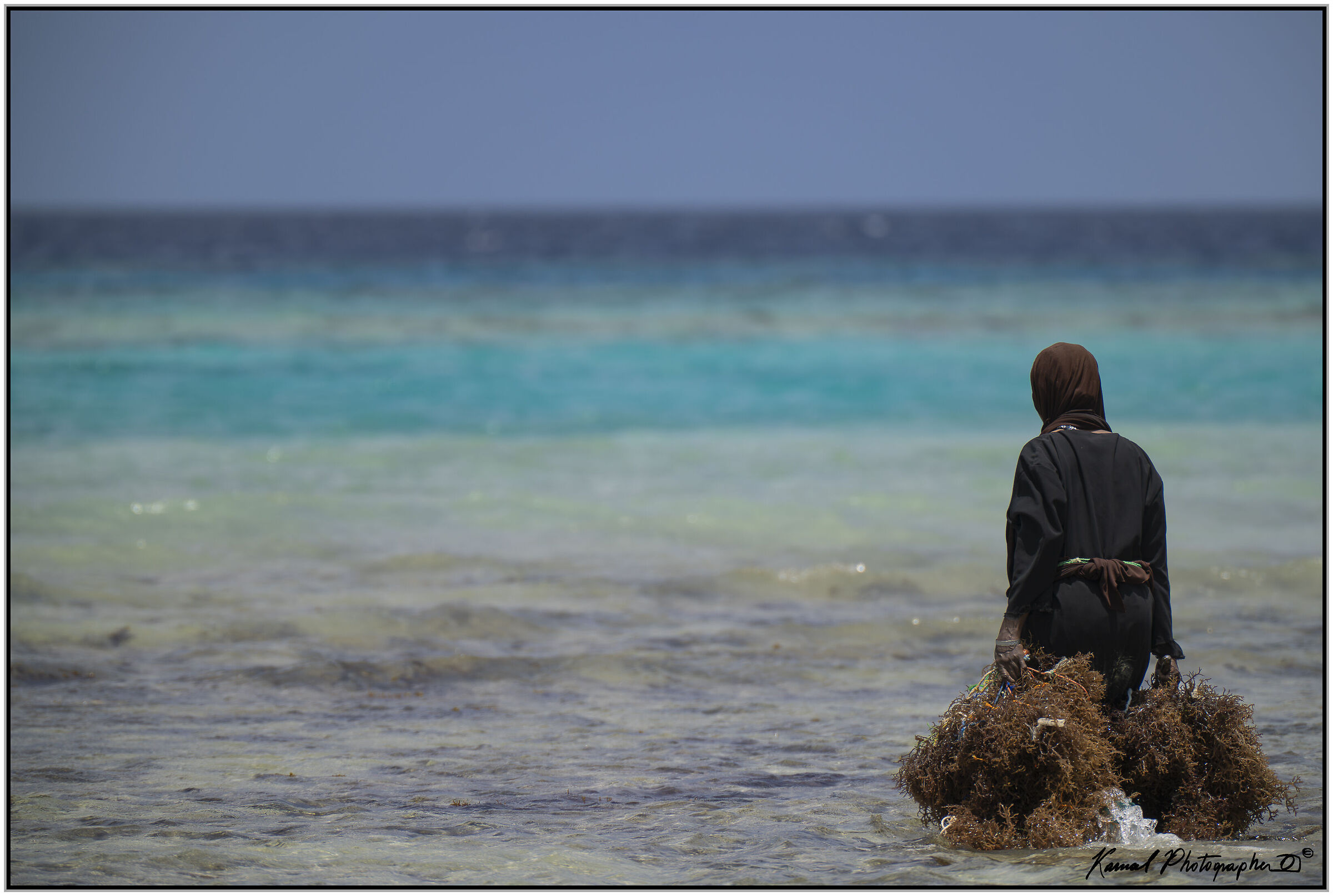 Raccoglitrice di alghe a Pemba