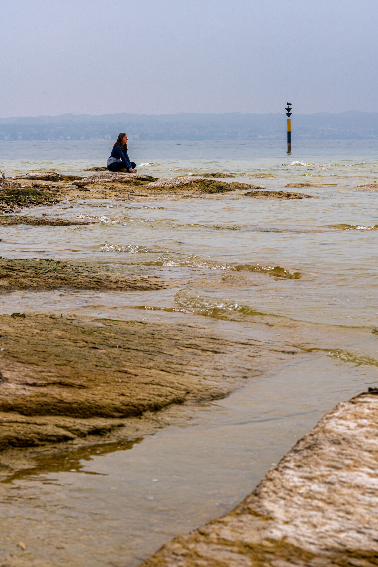 Lines and shapes of nature 2