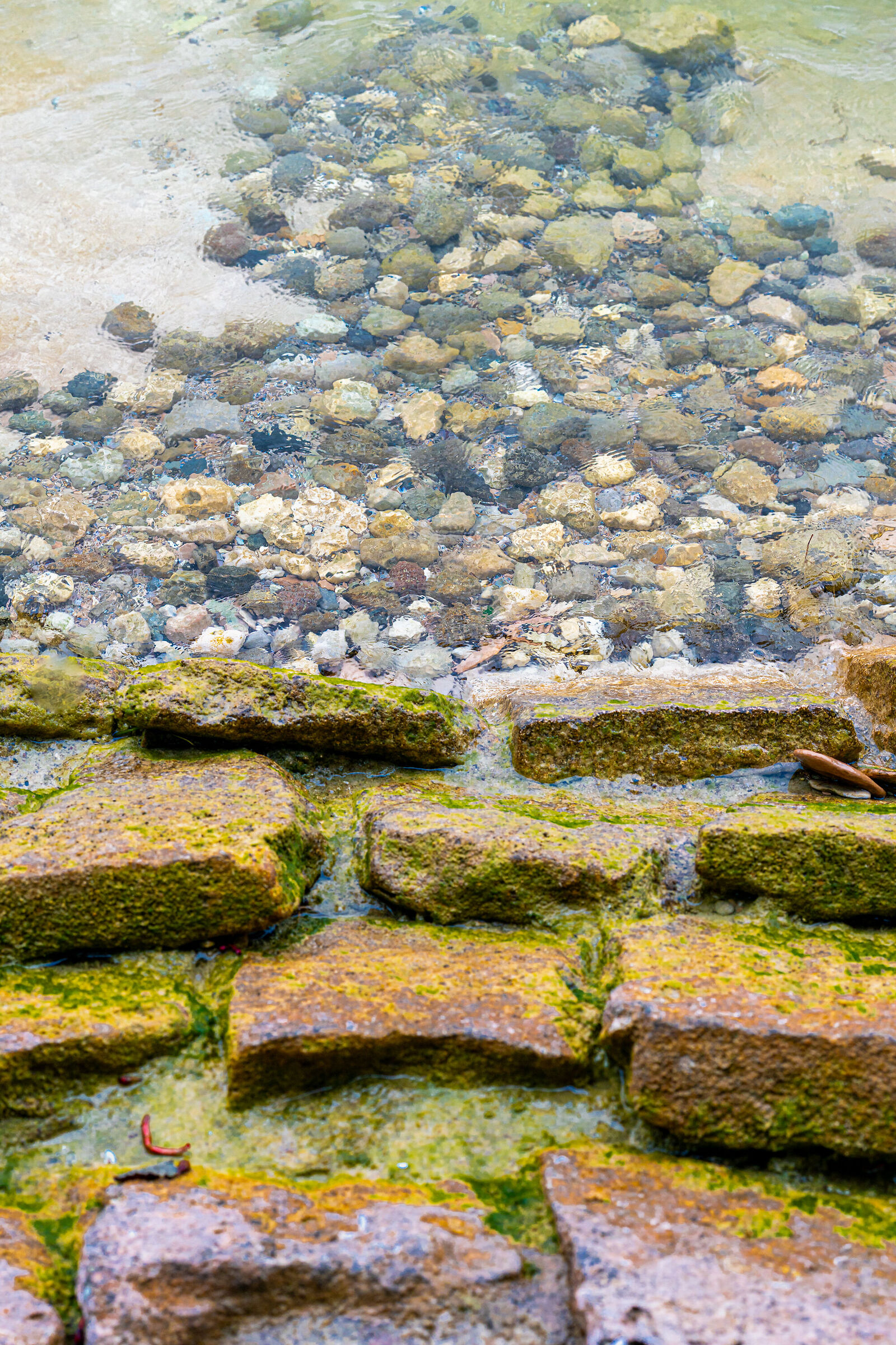 Lines and shapes of nature 3