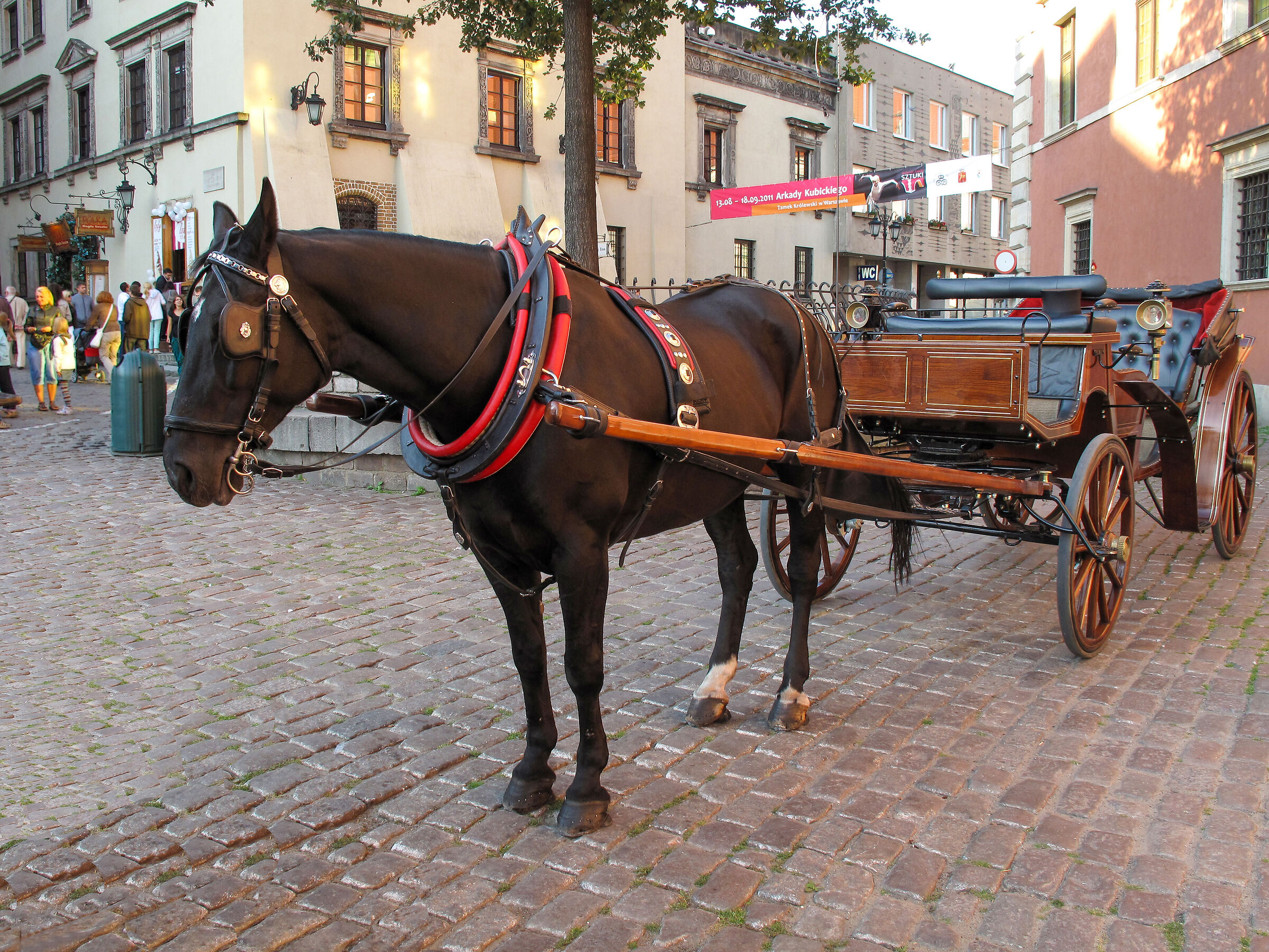 Varsavia cavallo con calesse