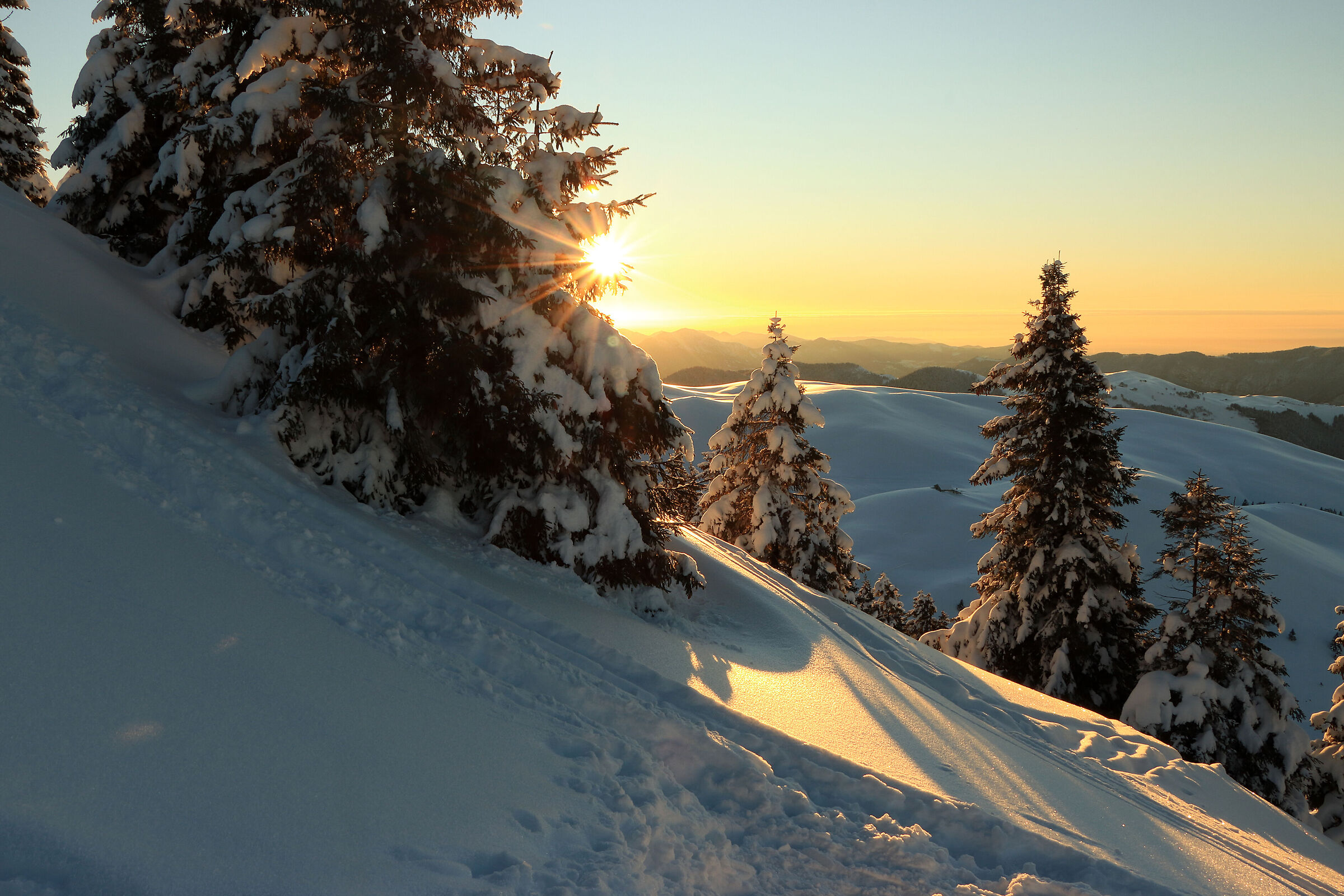 That morning a dream