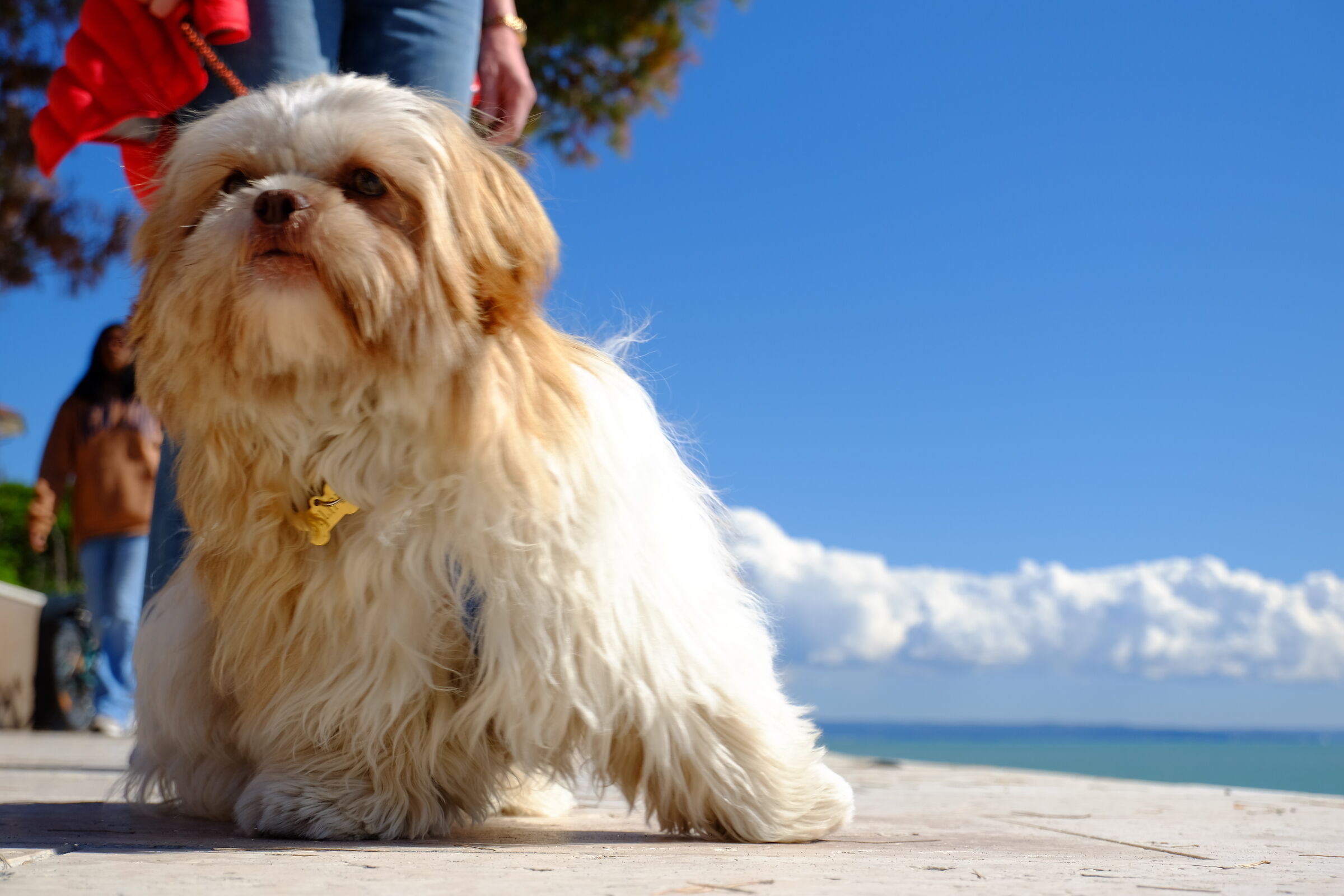 Beautiful as the sun