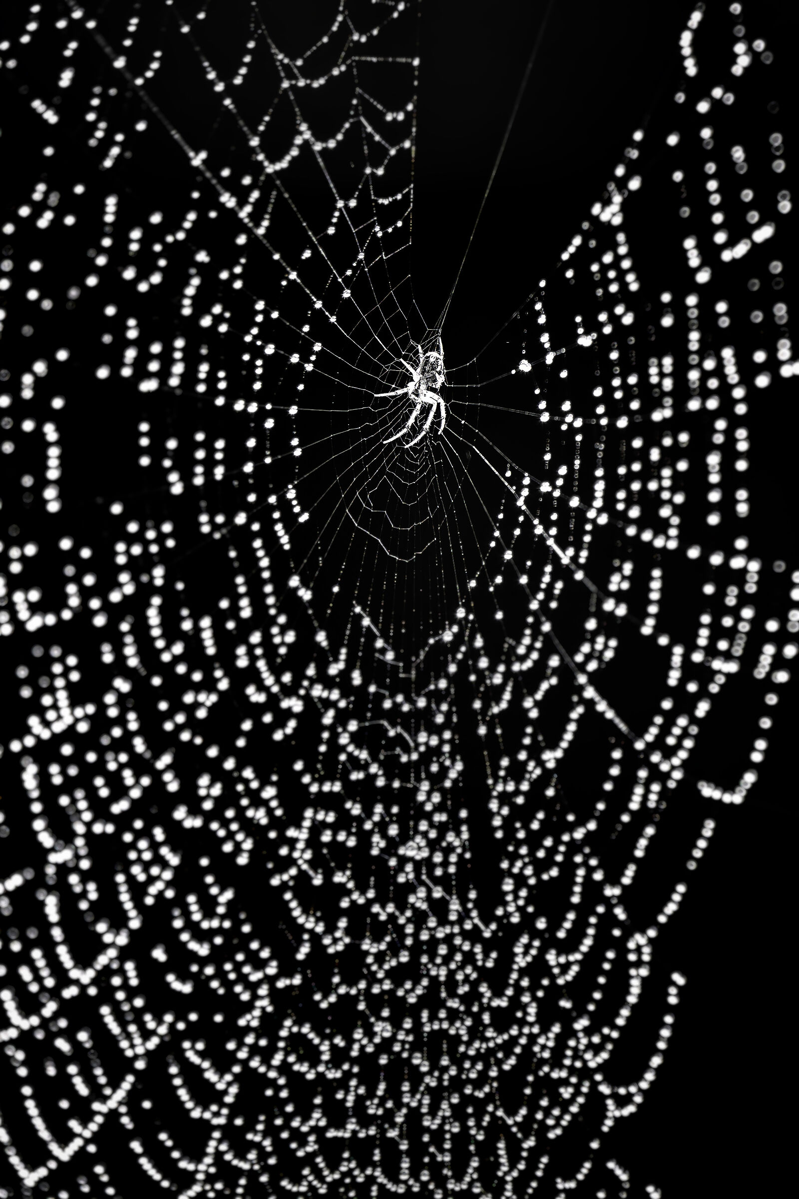 right place...right time