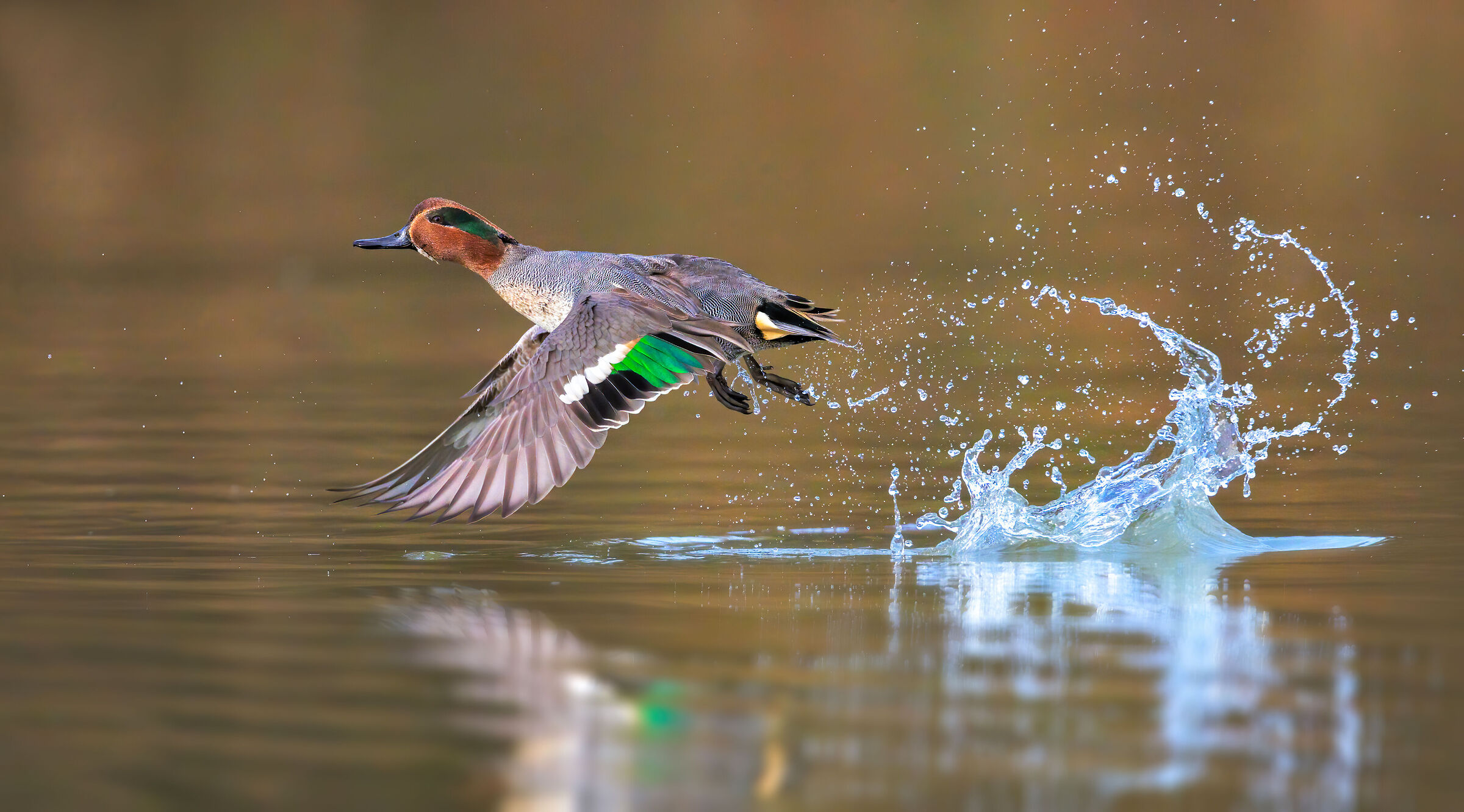 Take-off!