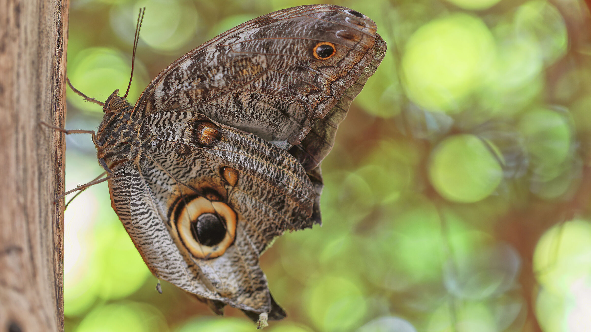 Just the way you are...