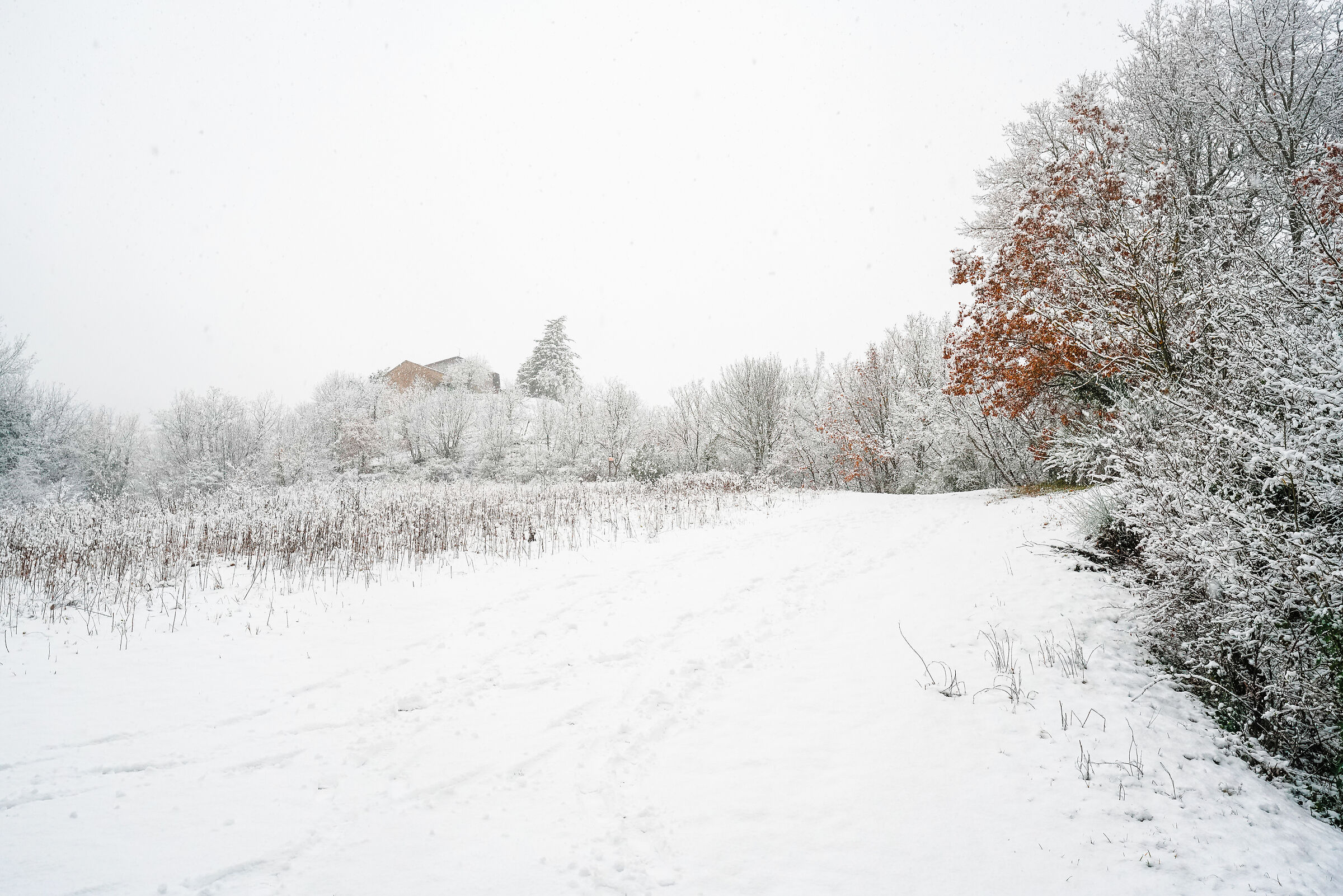Autunno e Inverno