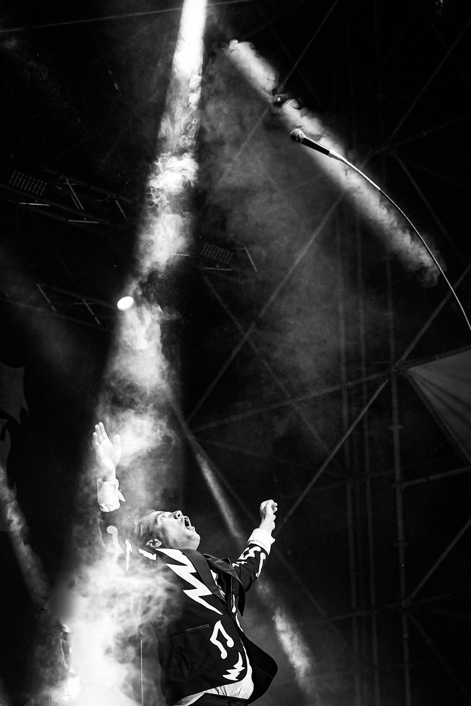 The Hives