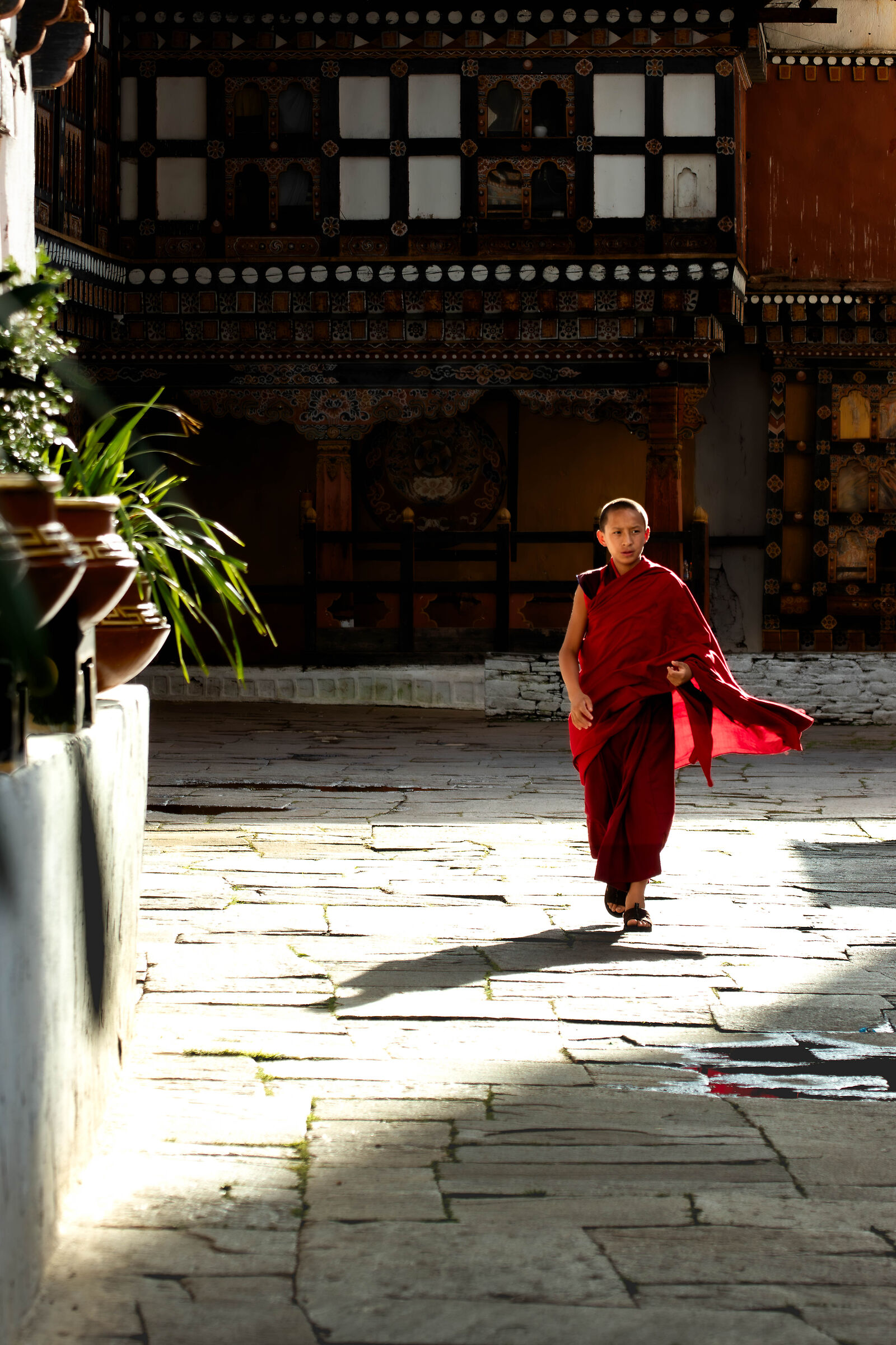 A Paro - Il piccolo monaco