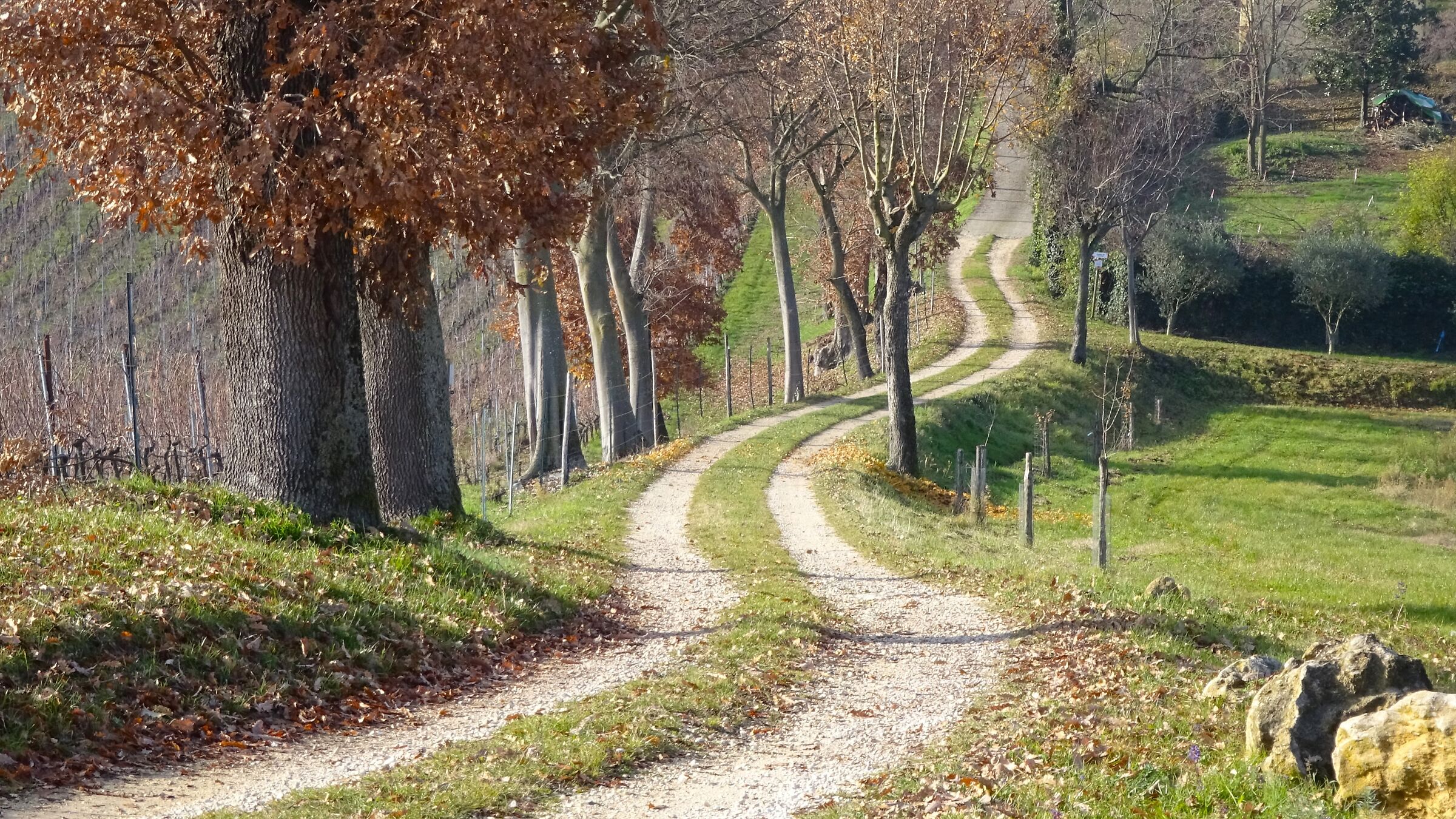 Small road in the territory of Villa Del Ferro