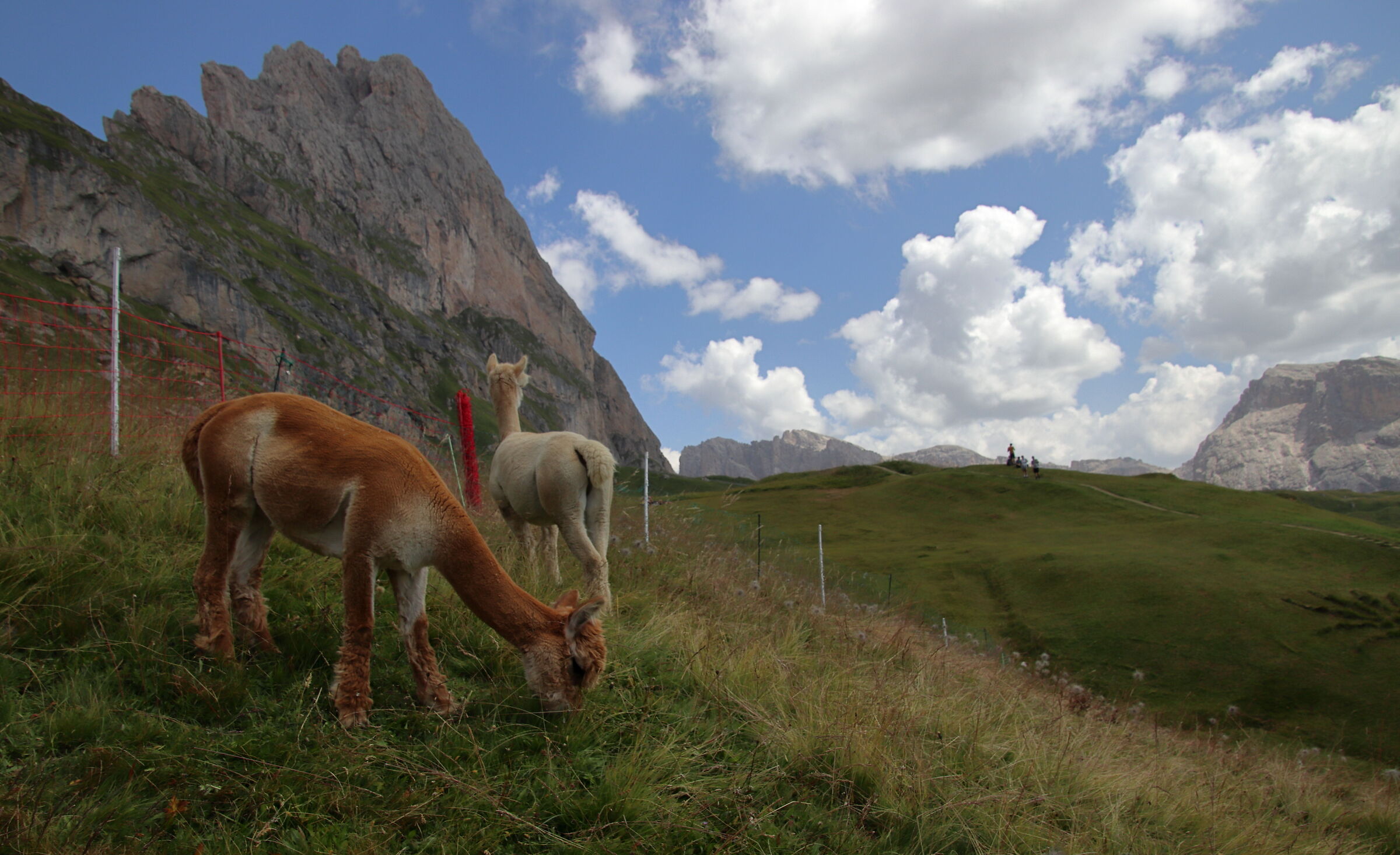 Val Gardena