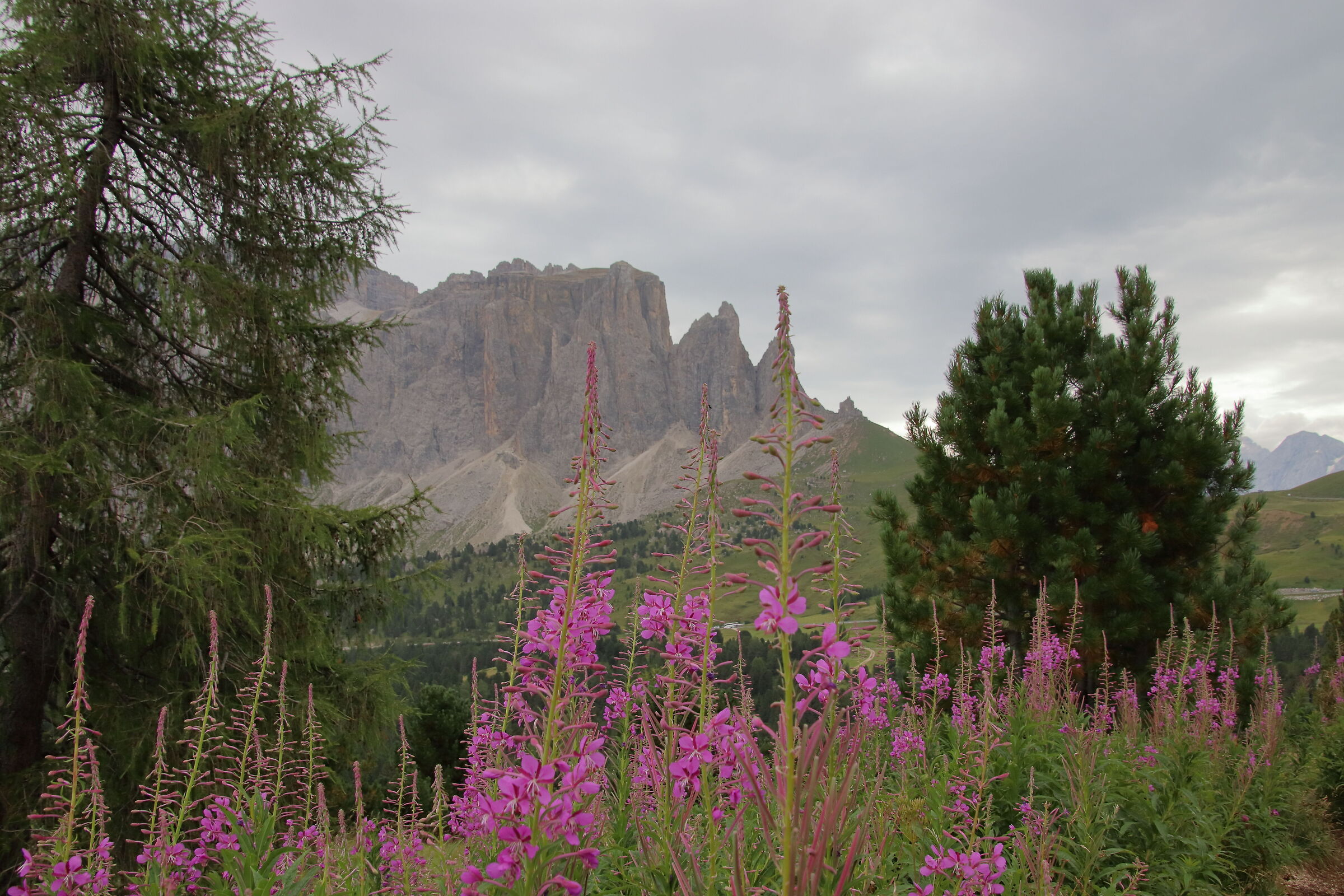 Val Gardena
